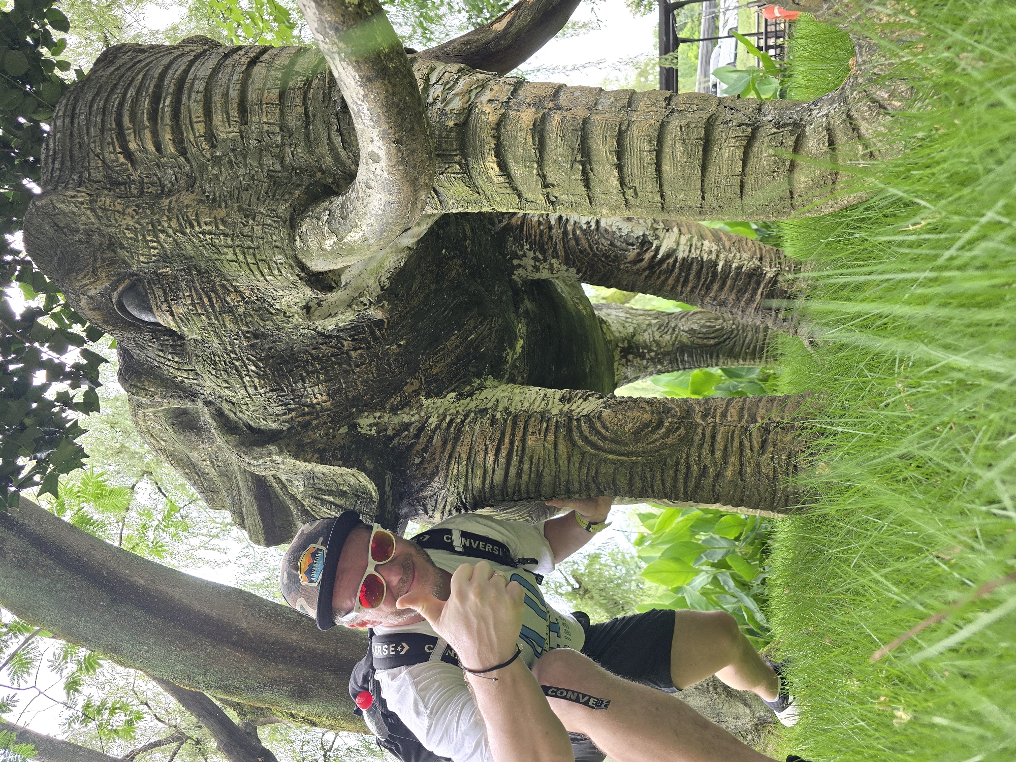 A man wearing a camouflage hat, red-tinted sunglasses, and a white t-shirt with black shorts gives a thumbs-up next to a large, textured statue of an elephant's leg and trunk. The man is leaning towards the camera, with a backpack on his shoulders. The elephant statue appears weathered and is covered in green moss. The scene is set outdoors with lush green grass in the foreground and trees overhead. The background shows some greenery and a glimpse of a structure and a vehicle.
