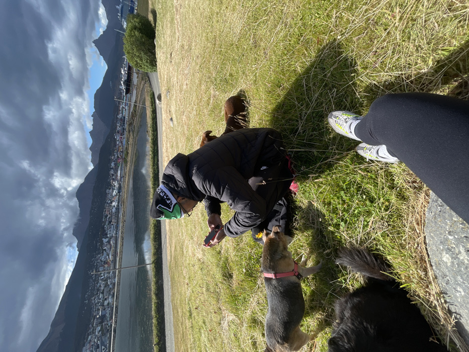 A person in a black jacket and patterned hat kneels on a grassy hill, attending to several dogs. One dog with a pink harness stands in front of the person. Another brown dog is behind. Legs wearing black pants and athletic shoes are visible to the right. In the background, a scenic view includes mountains, a town, and a body of water under a partly cloudy sky. The grass is dry and brown in patches.