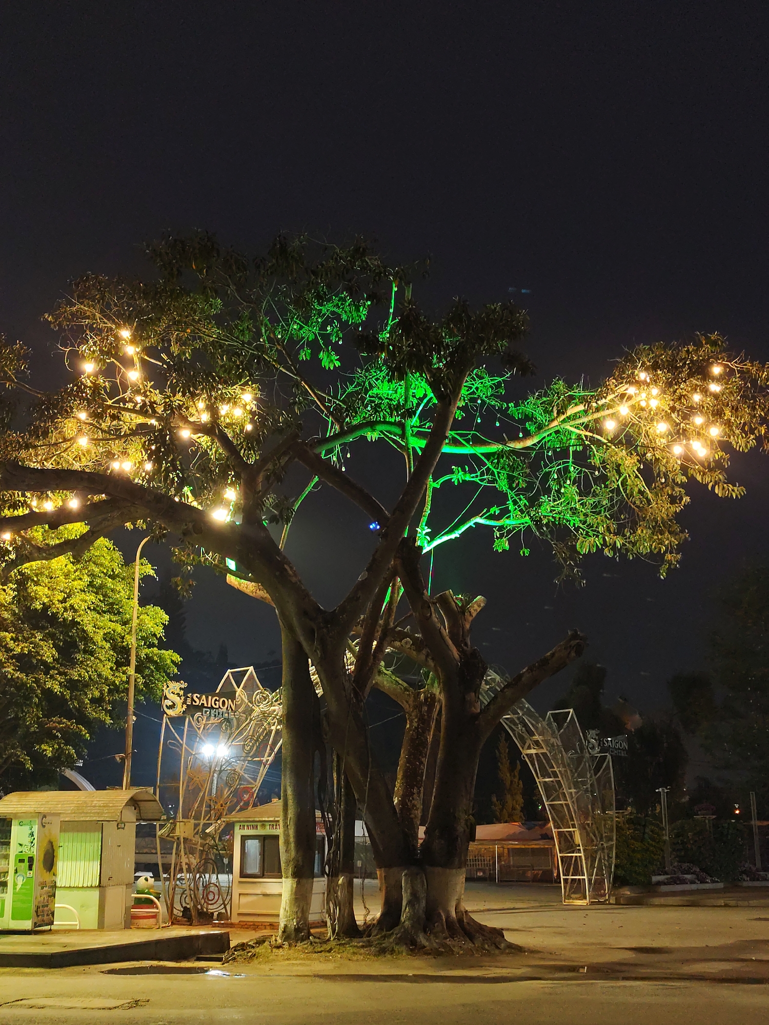 The image shows a night scene in Da Lat, Vietnam, featuring a large tree decorated with lights. The left side of the tree is adorned with warm-toned string lights, while the right side is illuminated with green lights. Below the tree, a small white kiosk or vending machine is visible on the left. In the background, there is a metal structure with the words "SAIGON" on it. The ground is paved and appears to be wet or reflective. There is no visible human activity. The scene is dimly lit, emphasizing the lights on the tree and the surrounding structures. The overall environment is urban, likely a park or public space in Da Lat.