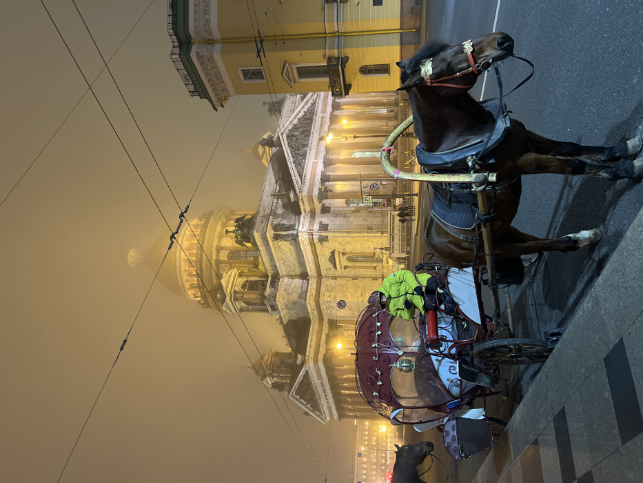 The image depicts a foggy nighttime street scene in Saint Petersburg, Russia, with Saint Isaac's Cathedral as the dominant background structure. The large, classical cathedral, featuring a prominent dome and colonnades, is brightly illuminated and partially shrouded by a thick, golden-hued fog that diffuses the ambient light.
In the immediate foreground, a dark brown horse with a black mane and tail stands on an asphalt street, harnessed to a decorative horse-drawn carriage. The horse wears a red bridle with white and gold embellishments and a black saddle. The carriage is ornate, primarily red and white with a partially enclosed passenger compartment. Seated inside the carriage is a person wearing a bright neon green padded jacket and dark headwear. A second dark horse is partially visible to the left of the carriage.
Overhead, multiple electrical wires span across the frame against the foggy sky. To the right, a multi-story yellow building with a green roofline is partially visible. In the background, beyond the carriage and horse, indistinct figures walk on a sidewalk, and other illuminated buildings and streetlights are visible through the fog. The scene suggests a quiescent, atmospheric urban environment.