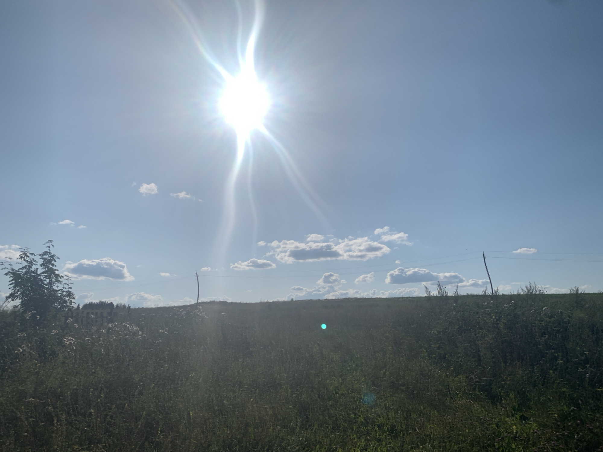 A bright sun shines in a clear blue sky over a grassy field in Panteleevka, Russia. The sun, with its rays extending outwards, is positioned high in the sky. A few scattered white clouds dot the sky. The field is covered in tall, green grass and various wildflowers. In the distance, a gently sloping hill is visible, topped with a line of trees. Two utility poles with wires stretch across the horizon, one on the left and another on the right side of the image. A lone tree stands on the left side of the field, its branches extending upwards. The overall scene depicts a sunny day in a rural landscape.