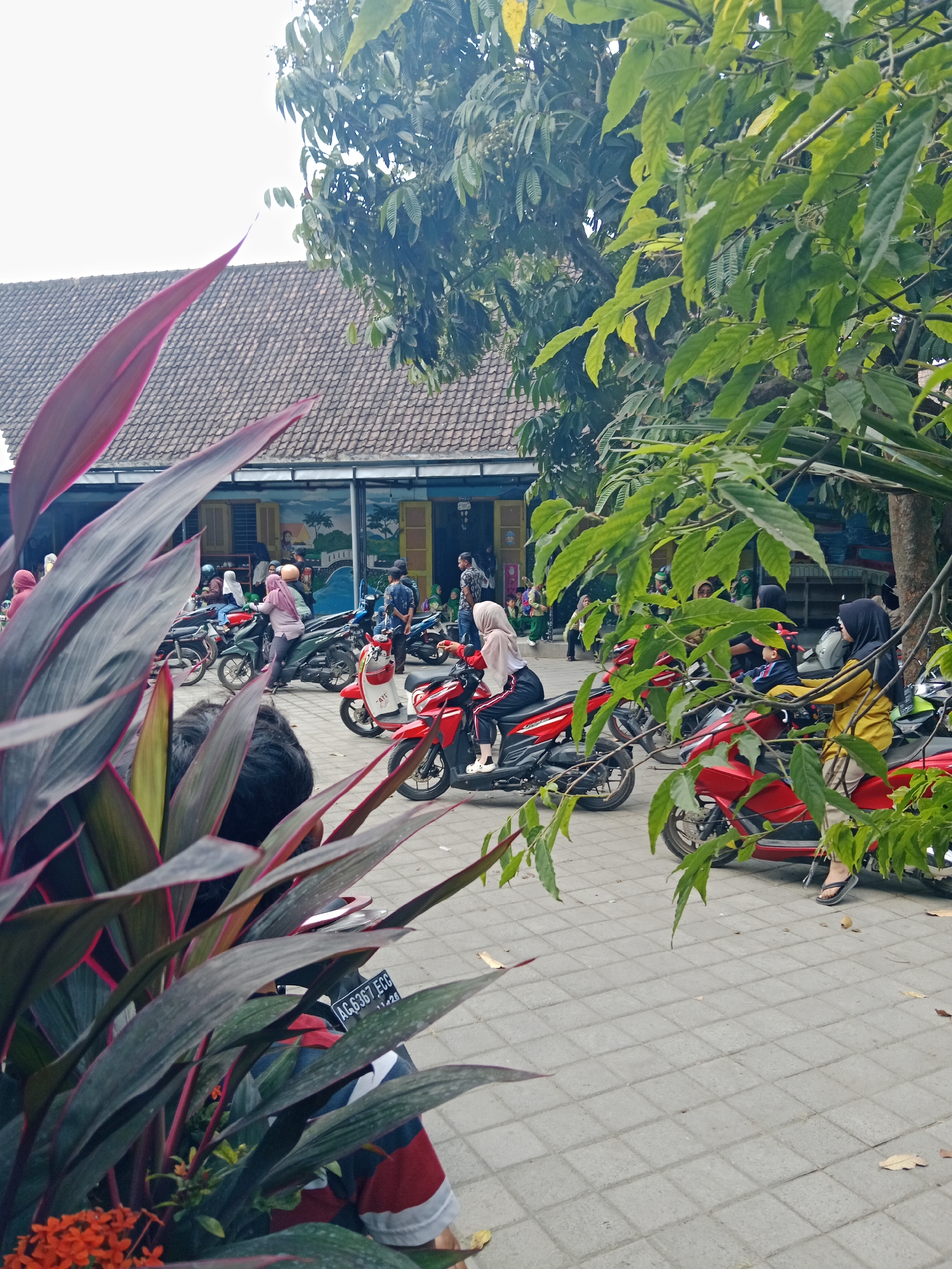 This is a photograph taken in Srikaton, Indonesia, likely in a public area with a tiled courtyard and a building with a tiled roof in the background. A prominent feature in the foreground is a large plant with dark red and green leaves, partially obscuring the scene.
The middle ground shows a gathering of people and numerous motorbikes parked on the courtyard. Several individuals are either seated on or near the motorbikes. One woman in a light purple hijab and white shirt is on a green motorbike, looking forward. Another woman in a beige hijab and white top is on a red motorbike, looking to her left. A woman in a yellow hijab and yellow top is on a red motorbike, looking to her left and holding onto the handlebars. A child in a blue jacket is seated behind her on the same motorbike.
In the background, the building has a traditional tiled roof and appears to have several doorways or open areas. There are murals or paintings on the wall of the building, depicting scenes with palm trees and what appears to be a village or settlement. More people are visible near the building, some standing and some appearing to be children in green uniforms. The overall impression is a busy outdoor area, possibly a school or community gathering point, with many motorbikes indicating common transportation.