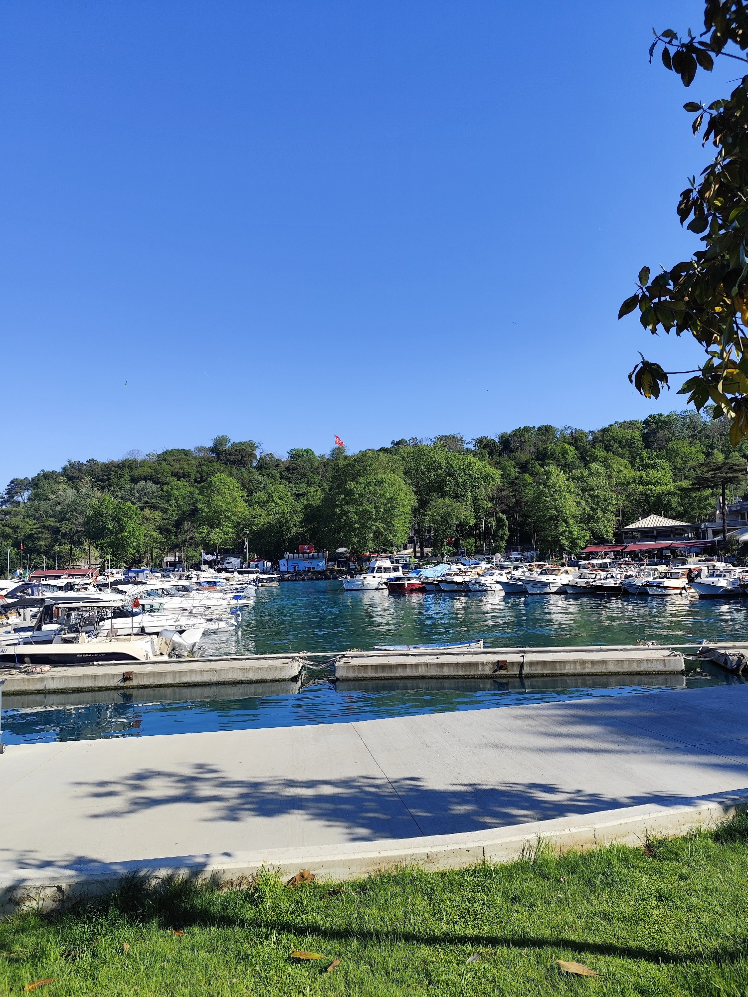 The image depicts a harbor scene in Sarıyer, Turkey, characterized by a clear blue sky above a body of water filled with boats of various sizes, docked at a concrete pier. Lush green trees form the backdrop on the opposite side of the harbor. In the foreground, there is a patch of green grass with leaves scattered, partially shaded, leading to the concrete pier. The overall ambiance is peaceful and scenic, representative of a marina setting on a sunny day.