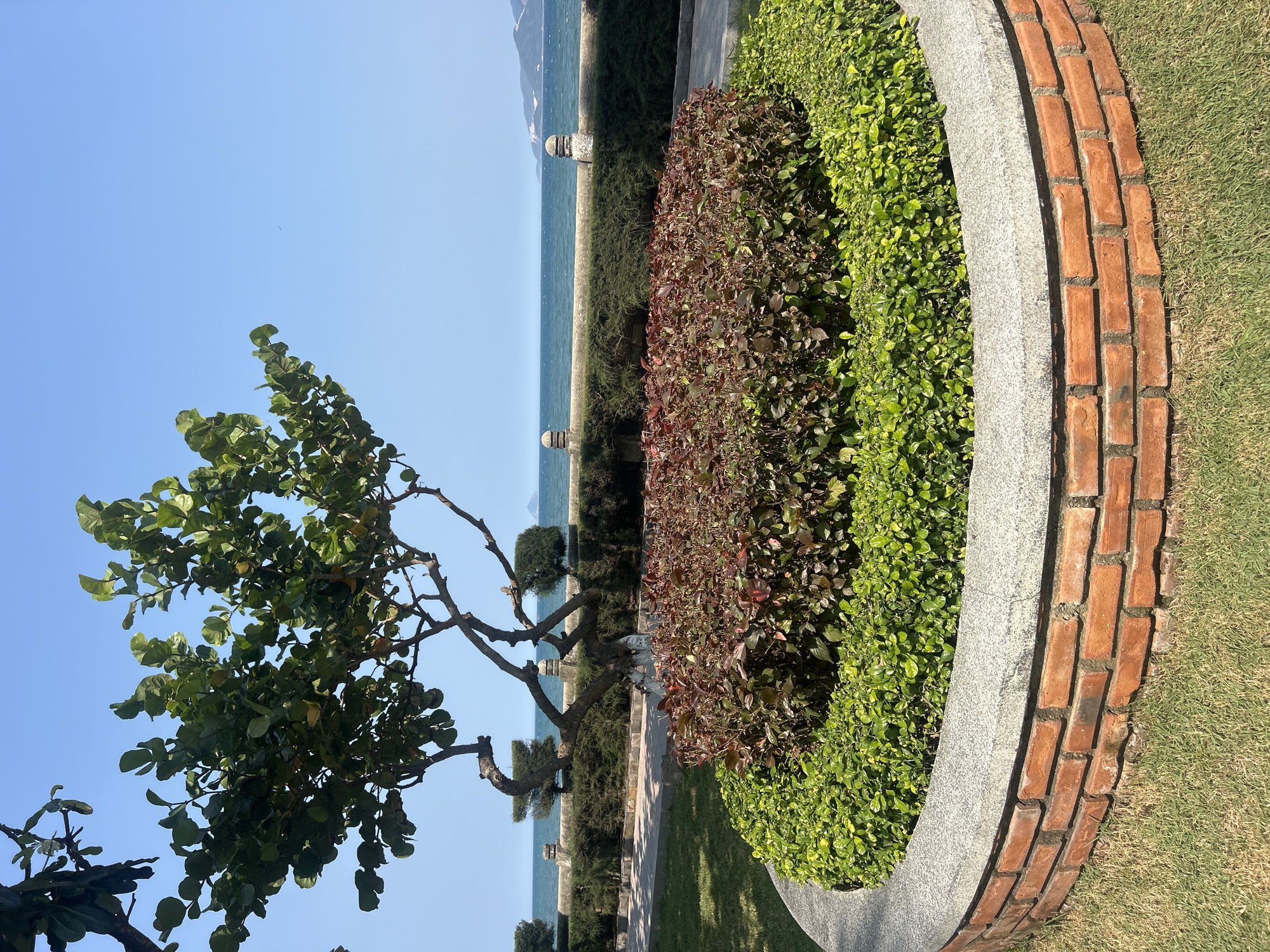 The image depicts a coastal landscape in Nha Trang, Vietnam. A large circular garden bed filled with two types of bushes, one green and one reddish-brown, sits on a lawn. The garden bed is bordered by a concrete and brick wall. In the background, the turquoise sea meets a sandy beach, with stone posts visible along the coastline. A tree with full green leaves is prominent on the left side of the image. The sky is a clear, bright blue.
