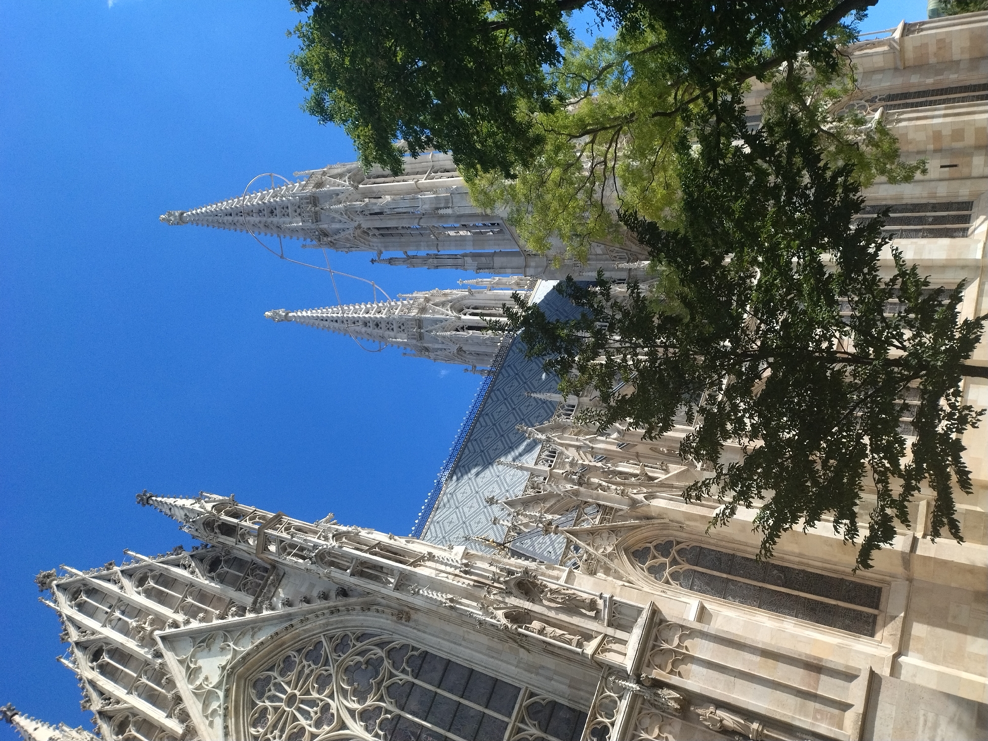 This is a photograph of St. Stephen's Cathedral in Vienna, Austria, taken from a low angle looking up. The iconic Gothic cathedral's spires and ornate facade dominate the frame, set against a clear, bright blue sky. The stonework of the cathedral is a light beige, showcasing intricate architectural details such as pointed arches, gargoyles, and decorative tracery around the windows. Several tall, slender spires rise towards the sky, adorned with openwork detailing. The roof of the cathedral is visible in the middle ground, covered in a patterned gray tiling. In the foreground and extending into the midground, lush green trees with full canopies partially obscure the lower sections of the cathedral's facade, their leaves catching the sunlight. The image is taken on a sunny day, with the light casting shadows on the building and highlighting the textures of the stone and leaves. There are no people or discernible activities in the scene.