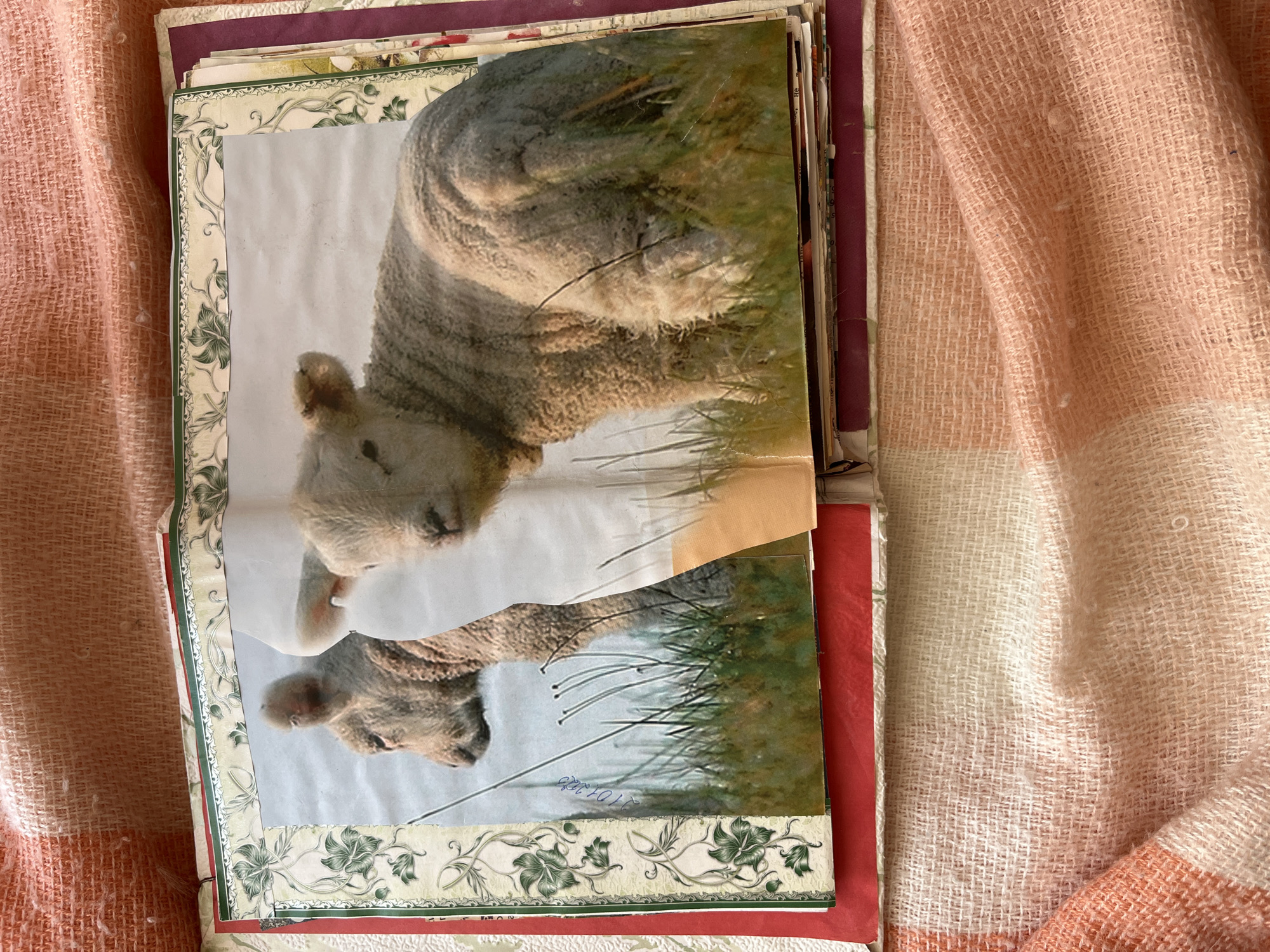 Memory
