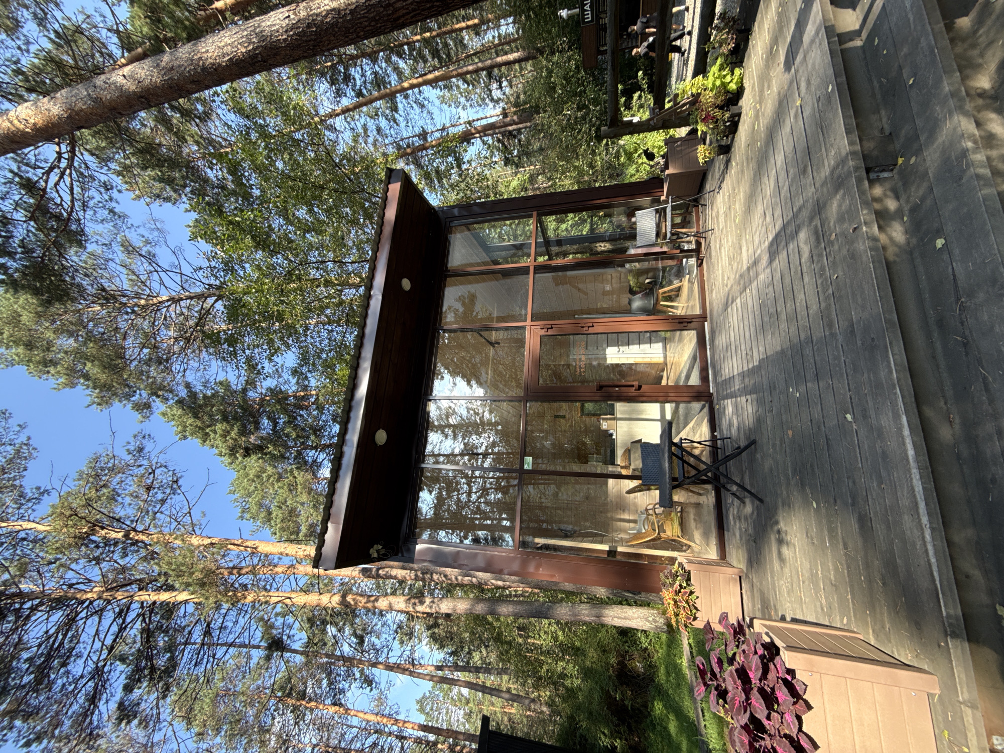 The image shows a modern, glass-fronted building nestled amongst tall pine trees. The building has a dark brown roof and frame. In front of the building is a wooden deck with two planters containing lush green and red foliage. On the deck, there is a small black folding table with two chairs. Inside the building, visible through the glass, are more chairs and what appears to be a counter area. To the right of the building, a wooden fence is visible, and beyond that, two people are walking away from the camera. The ground is covered with pine needles and dry leaves. The scene suggests a tranquil, natural setting, likely a cafe or visitor center in a forested area. The location is stated to be Barangol, Russia.