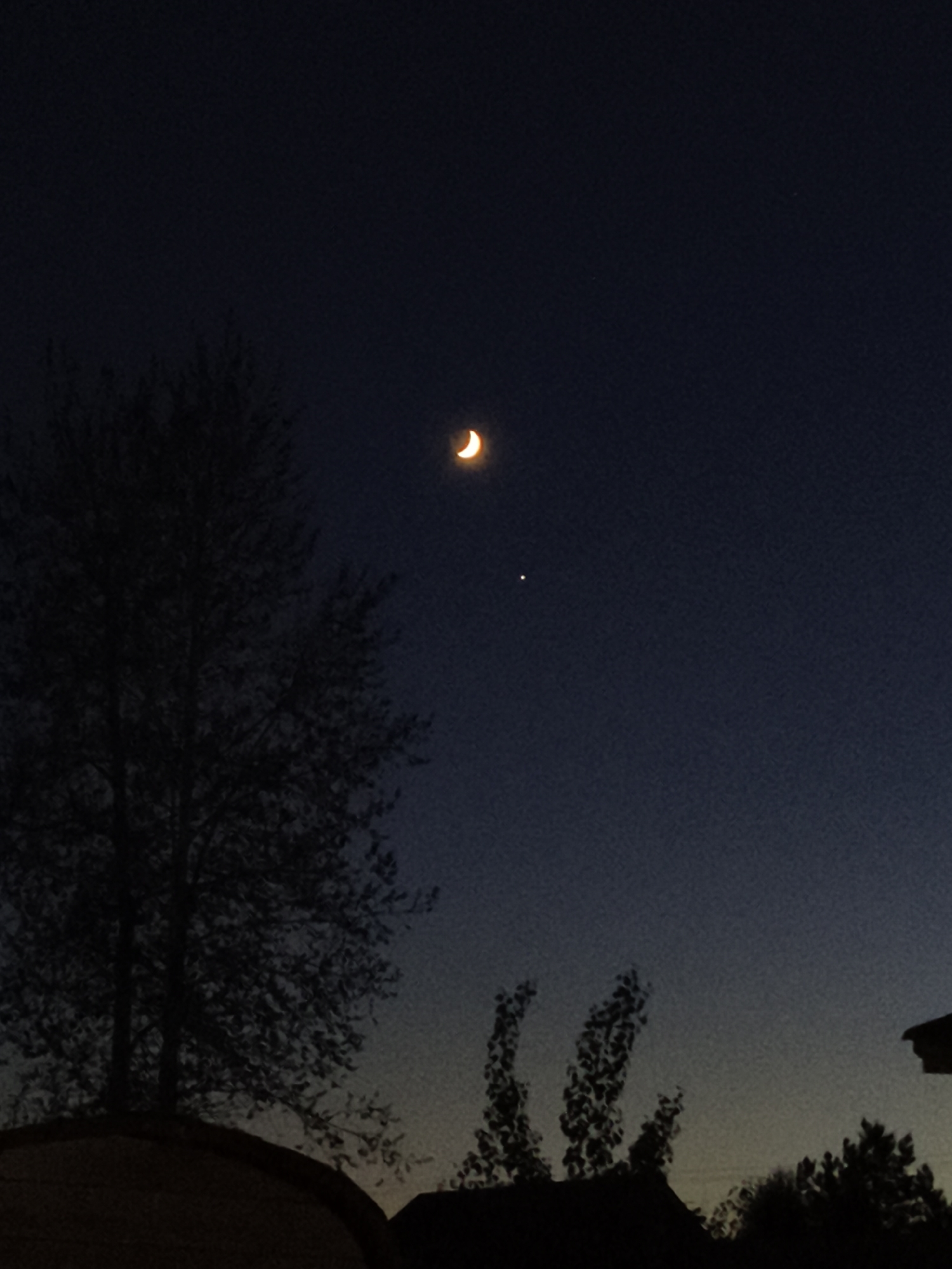 A nighttime scene in what appears to be Русский Вожой, Russia, features a crescent moon high in the sky accompanied by a visible planet (likely Venus) just below it. In the foreground, the silhouette of a bare tree is prominent on the left, while the darker shapes of houses and foliage occupy the lower portion of the frame. The sky fades from a dark blue at the top to a lighter hue near the horizon.