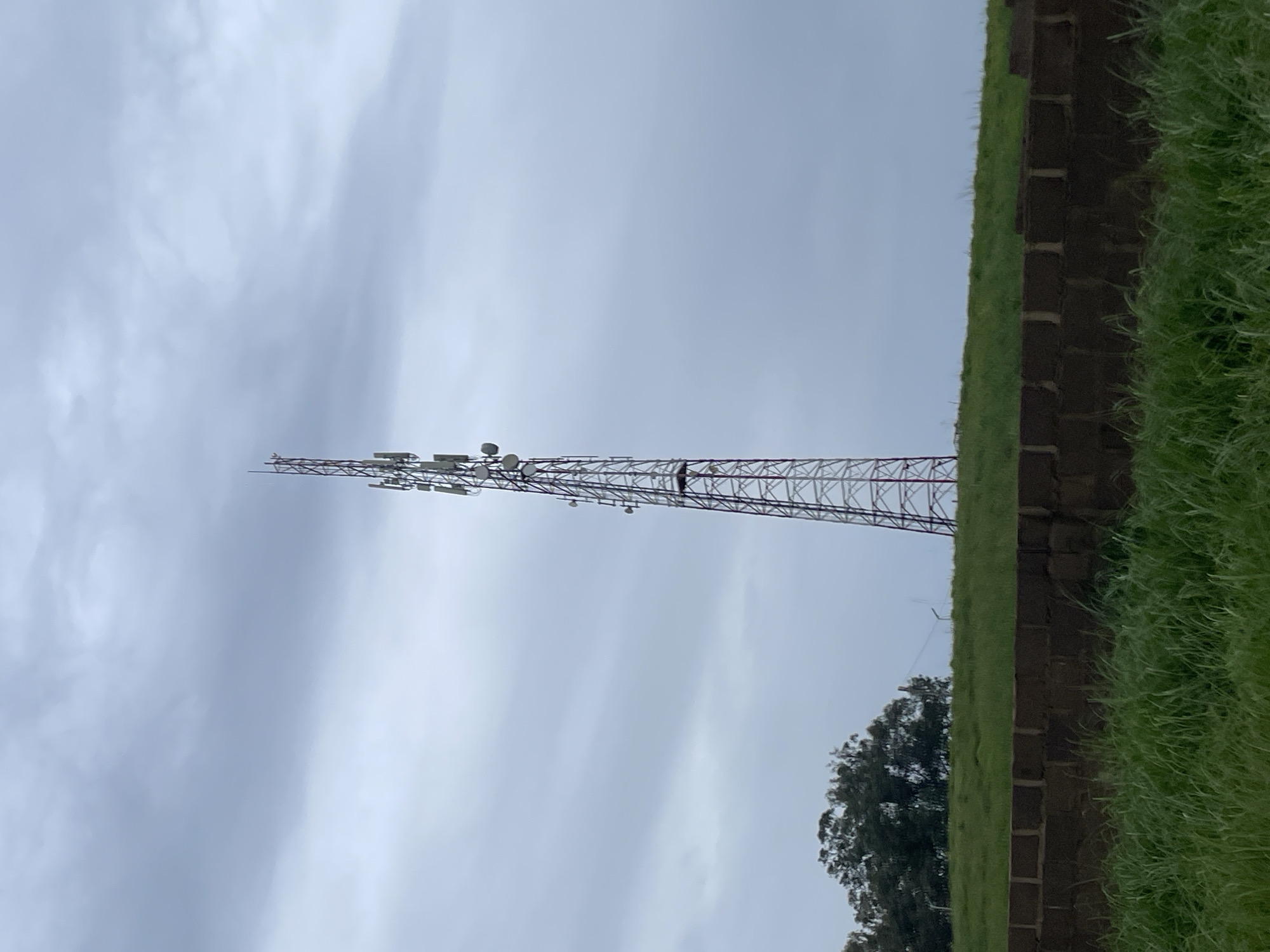 A tall, red and white lattice cell tower stands prominently against a cloudy, overcast sky. The tower is equipped with multiple antennas. In the foreground, a low, dark brick wall separates a patch of green grass from an area of taller, wilder grass. Behind the cell tower, a cluster of dark green trees is visible on a grassy hillside. The scene appears to be in an outdoor, possibly rural or semi-rural, location, without any people present.