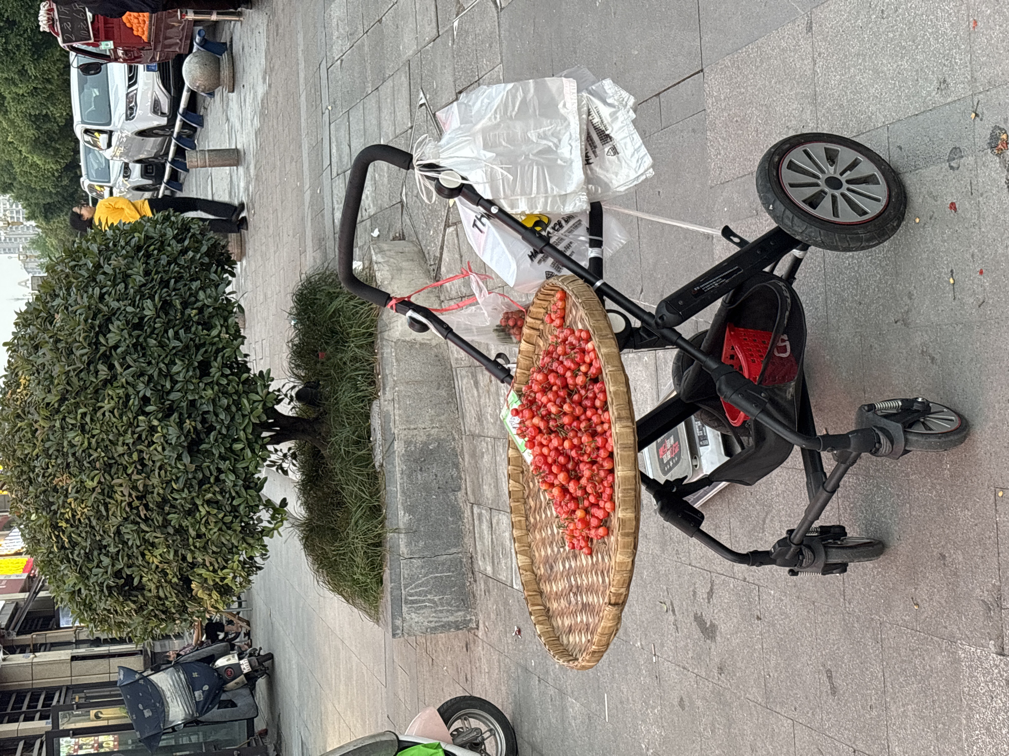 The scene depicts a stroller parked on a paved sidewalk in Jiangjin, China. The stroller carries white plastic bags, a wicker basket filled with numerous red berries, and a small red item in the stroller's basket. The surrounding area includes a mature bush or small tree, low bushes, and a sidewalk. In the background, there are buildings, cars, and a person wearing a yellow jacket. A scooter is parked in the lower left corner of the image.