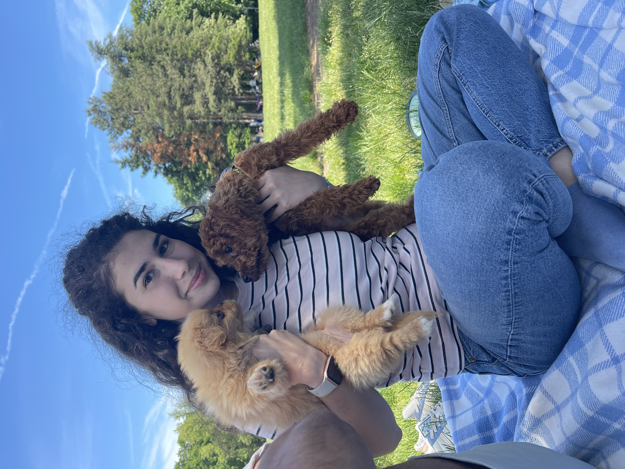 A young woman with long, dark curly hair is holding two small poodle puppies in a park. She is sitting on a blue and white checkered blanket in a grassy area. The woman is wearing a striped shirt and jeans. One puppy is light brown, and the other is dark brown. In the background, there are trees and green grass under a blue sky. The exact location in Sofia, Bulgaria, is not discernible from the image.