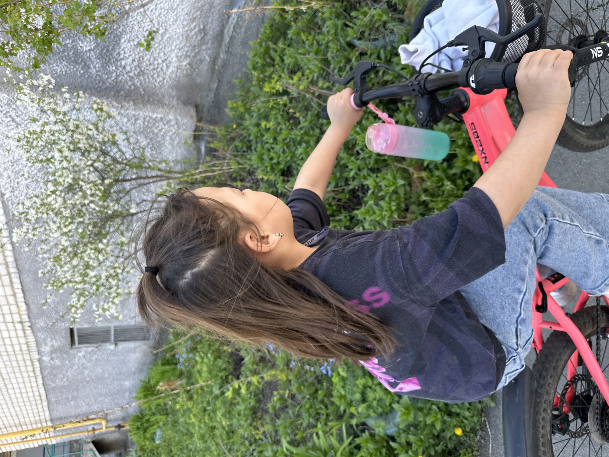 A young girl with brown hair is sitting on a pink bicycle. She wears a dark shirt, blue jeans, and has her hair pulled back in a ponytail. The girl is gripping the bike's handlebars. A pink and green water bottle hangs from the handlebars. The background consists of a concrete building with a vent, a flowering tree, and green bushes. The location appears to be outdoors, possibly an urban or suburban area.