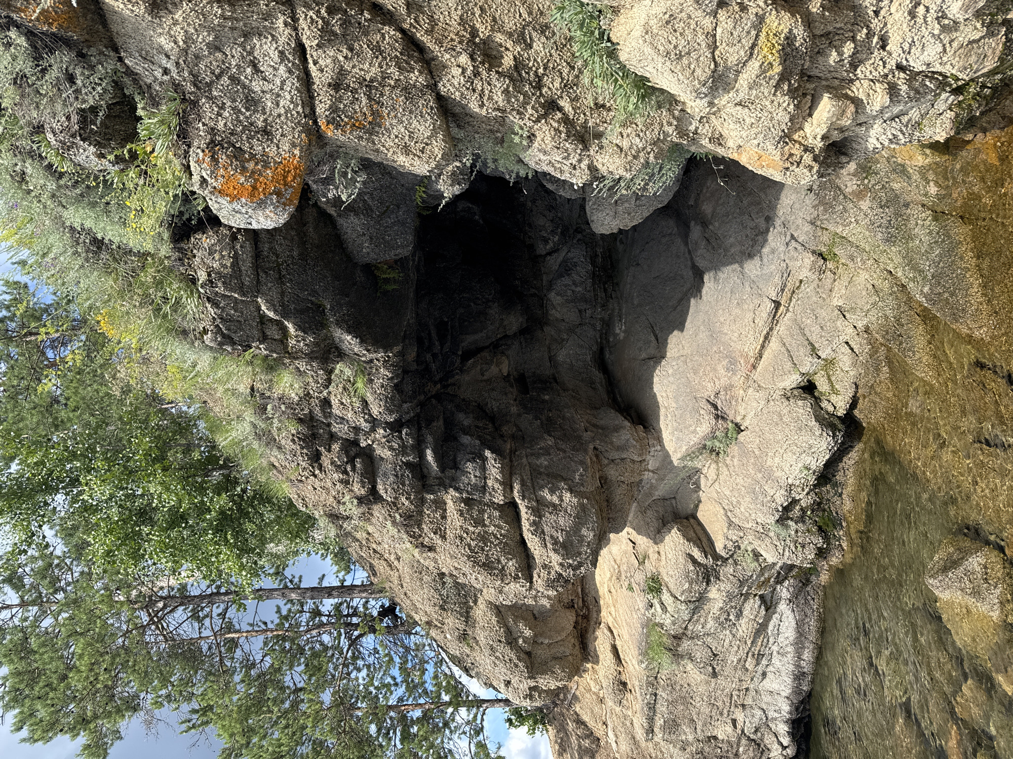 The image shows a rocky cliff face with a dark cave opening near the bottom right. The cliff is made of large, rough-textured rocks with patches of orange lichen and green vegetation. Trees, including pine trees with needles and a deciduous tree with green leaves, grow at the top of the cliff. The base of the cliff meets a body of clear, shallow water with submerged rocks visible. The sky is partly cloudy. There are no people or animals visible in the image. The scene appears to be a natural outdoor environment.