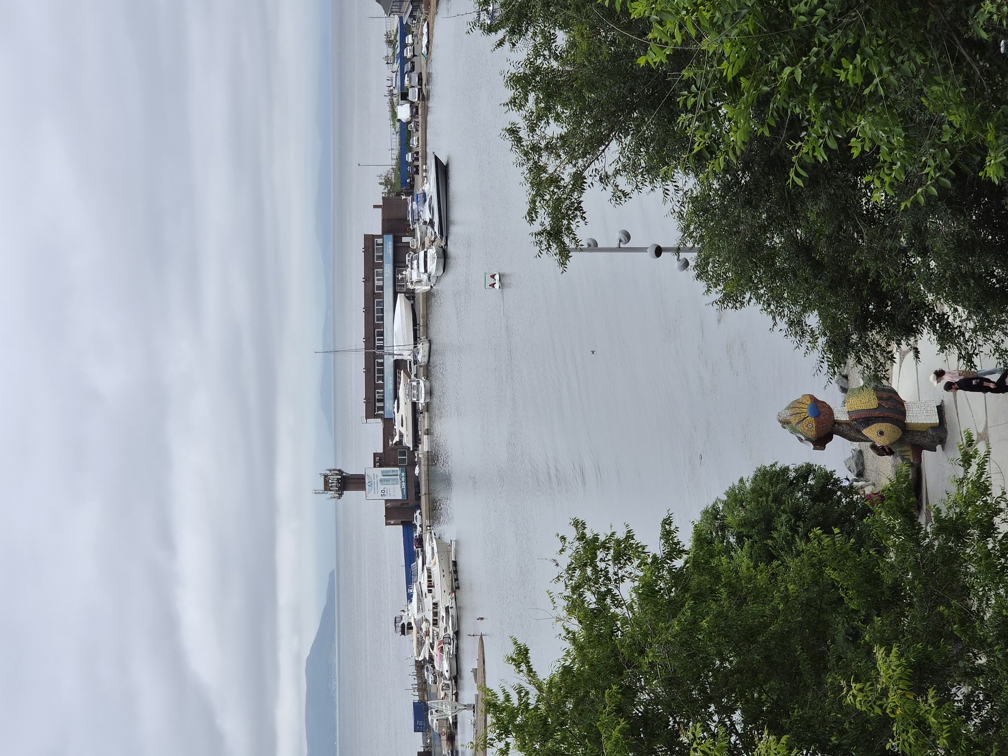 An elevated, wide-angle shot captures a harbor in Vladivostok, Russia, on an overcast day. The water is calm, reflecting the muted sky. A marina is populated with numerous yachts and boats of varying sizes, some docked and others at sea. In the mid-ground, a long, low-rise building with a darker roof and tan walls lines the waterfront, featuring multiple windows. A tall, brown, tower-like structure with antennas is situated near the building. In the foreground, dense green foliage partially obstructs the view. To the left of the foliage, a colorful, abstract sculpture stands near a paved pathway where two individuals are visible walking. Another small boat, white with green trim, is in the water further out. The horizon line is indistinct due to the cloudy conditions.