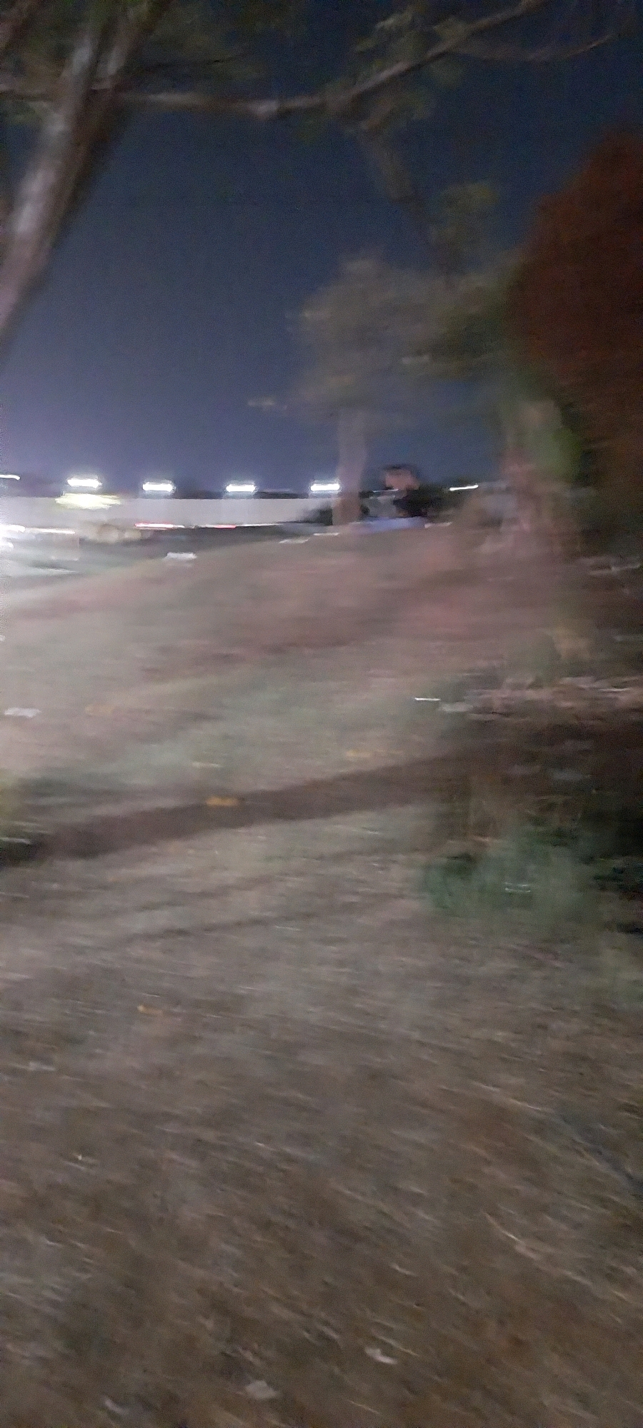 The image depicts a blurred nighttime scene outdoors. In the background, a long, white structure with a row of bright, rectangular lights is visible, suggesting a building or stadium illuminated at night. There are trees and foliage in the foreground and to the sides, with a dark, patchy ground surface. The overall impression is that of a park or open area near a lit structure at night. The image's lack of detail and motion blur make it difficult to ascertain specific activities or identify individuals clearly.