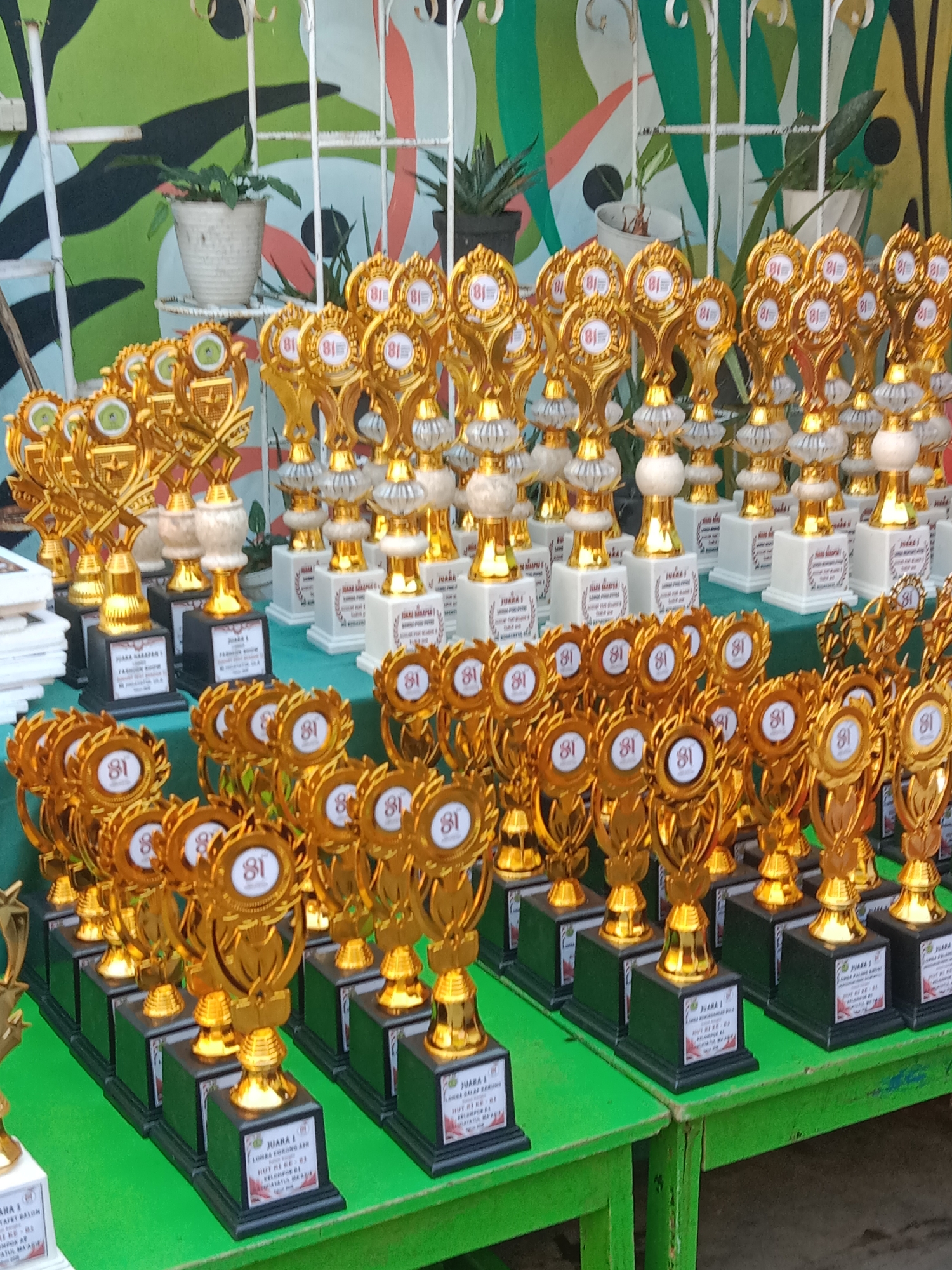 The image shows a collection of golden trophies arranged on green tables. The trophies vary in design, with some having round emblems featuring the number "81" and others displaying shields and intricate details. Many of the trophies have white bases with labels. In the background, there is a wall with a colorful, abstract mural and some potted plants on a white shelf. The scene appears to be outdoors or in a covered outdoor area, possibly a school or community center. The lighting suggests it is daytime. There are no people visible in the image. The trophies are the primary focus, indicating a possible award ceremony or display. The presence of the number "81" on some trophies suggests they might be for an event related to the 81st anniversary of an organization or for the 81st iteration of a competition. The style of the trophies and the backdrop suggest a Southeast Asian context, potentially Indonesia, and if this event is in Probolinggo, Indonesia, it is likely associated with a local celebration or competition.