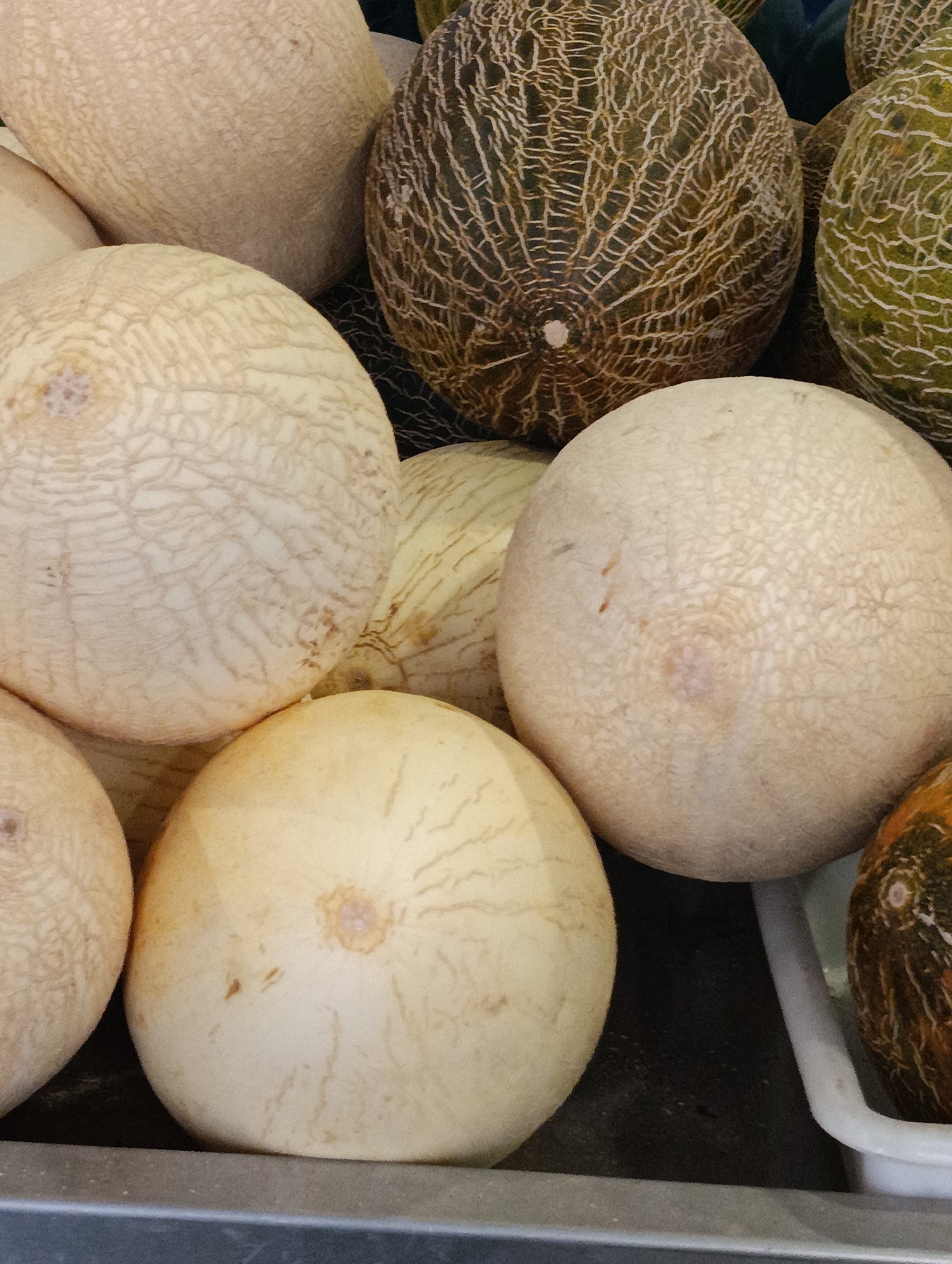 A close-up, eye-level, indoor shot showcases a pile of ripe melons. The melons vary in color, with some exhibiting a pale cream hue and a finely netted texture, while others are a darker, earthy brown with a more pronounced web-like pattern. One melon on the right has a greenish rind with a similar netted surface. The melons are round and oval, piled closely together in a display, possibly in a market or grocery store. The lighting is soft, highlighting the textured surfaces of the fruit. The background is dark and out of focus, suggesting an indoor setting. The melons are arranged in a way that their shapes and textures are the primary focus. The image does not contain any people or any identifiable landmarks. The photograph was taken in Setúbal, Portugal, and is a still life arrangement of fruit.