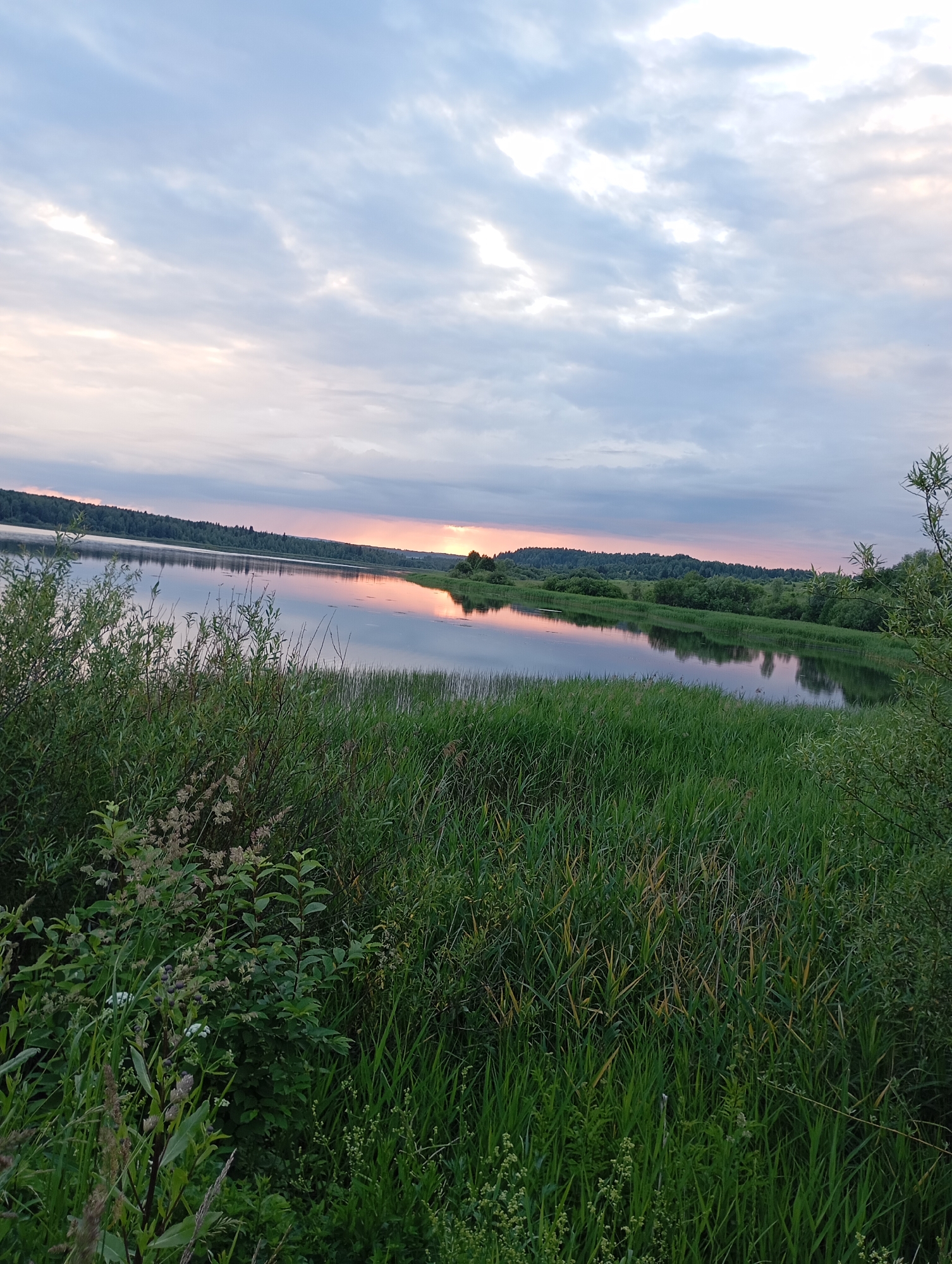 The image depicts a serene natural landscape at dusk. A wide, calm body of water, likely a lake or river, dominates the mid-ground, reflecting the soft hues of the sunset sky. The water's surface is smooth, disturbed only by gentle ripples. Along the far bank of the water, a dense line of green trees forms a natural border, with rolling hills visible in the distance. The foreground is filled with lush, tall green grass and reeds, some of which appear to be slightly dry and yellowed. The sky is overcast with a mix of gray and white clouds, but a band of soft pink and orange light indicates the setting sun just above the horizon. The overall impression is one of tranquility and natural beauty, possibly a rural or park area. The location is identified as Ryabki, Russia.