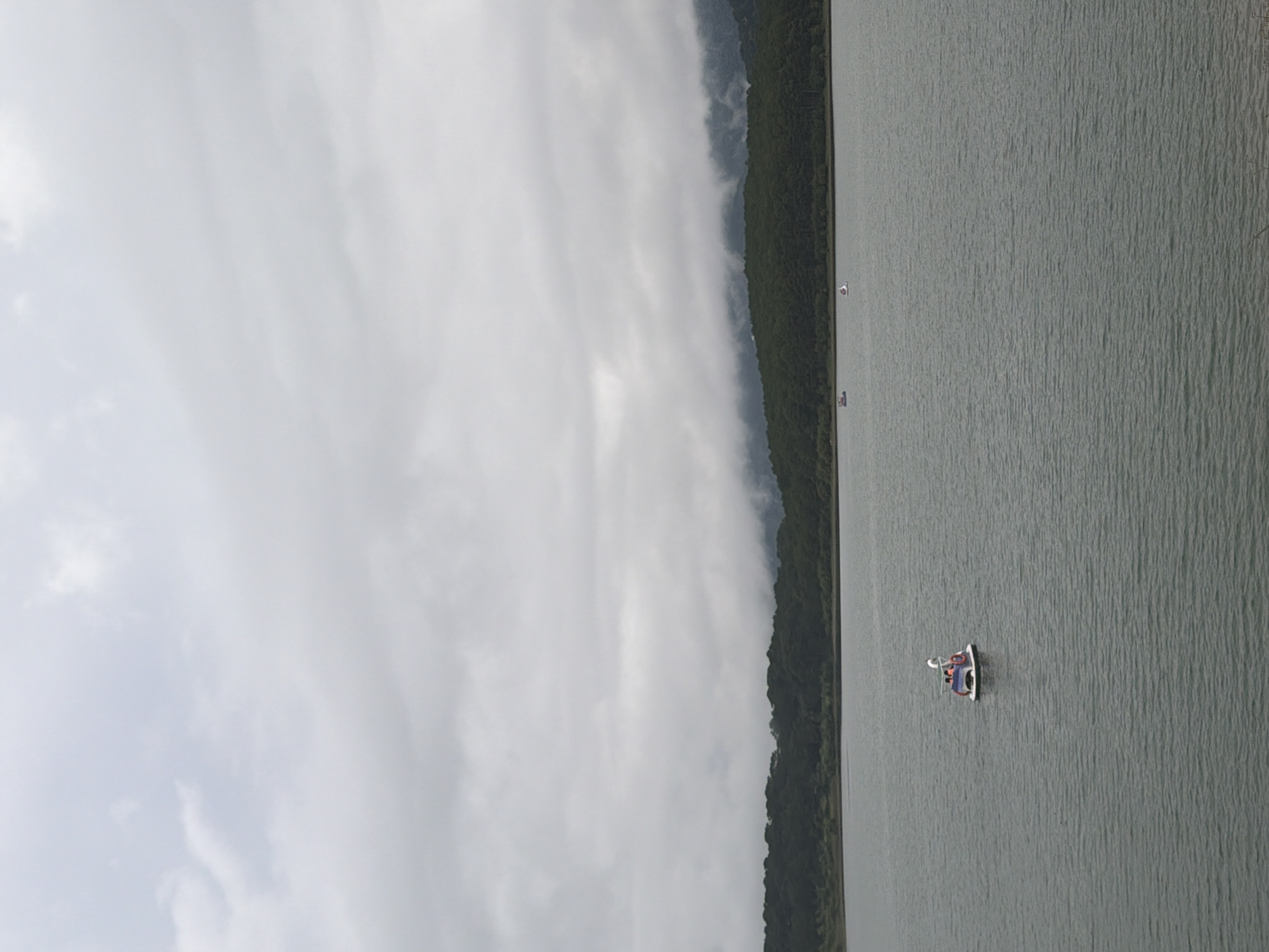 This image depicts a serene natural landscape at Tuyen Lam Lake in Da Lat, Vietnam, under an overcast sky. The foreground is dominated by the tranquil surface of the lake, its water reflecting the muted light of the cloudy day. In the middle distance, a white pedal boat, designed to resemble a swan, glides across the water, carrying at least two individuals who are not clearly discernible. Further in the distance, the far bank of the lake is lined with a dense forest of dark green trees, their forms softened by a layer of low-lying clouds that cling to the misty mountains beyond. The overall atmosphere is one of peacefulness and natural beauty, characteristic of Da Lat's scenic attractions.