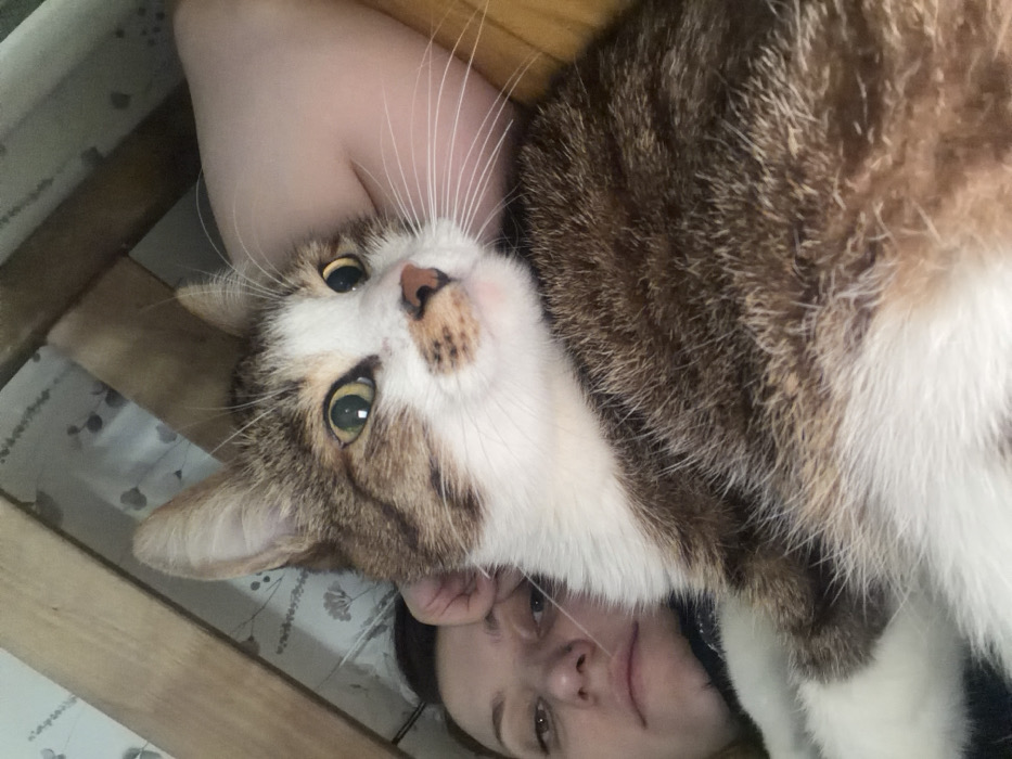 A person lies on their back, their face visible at the bottom of the frame. A tabby cat with white markings is nestled on top of the person, its head near the person's neck. The cat's amber eyes are open, and it appears to be looking directly at the camera. The background includes a wooden structure, possibly a bed frame, and a printed fabric. The image is rotated, giving a slightly disorienting perspective.