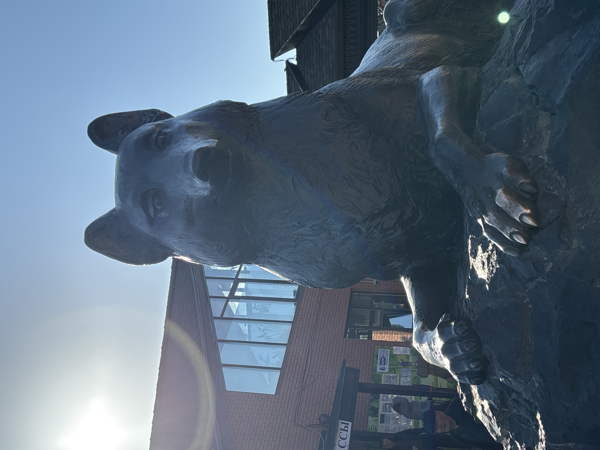 The image shows a bronze bear statue mounted on a dark stone formation, likely a public art installation. The bear appears to be climbing or clinging to the rock. In the background, a brick building with large glass windows is partially visible. A sign in Cyrillic script (possibly "КАССЫ") can be seen near the base of the statue. The setting is likely the city of Izhevsk, Russia, as this is the location of the bear statue known as "Izhevsk Bear". The image is taken from a low angle, with the sun positioned behind the building, creating a bright glare. There are some people in the background near the building, but they are not in focus.