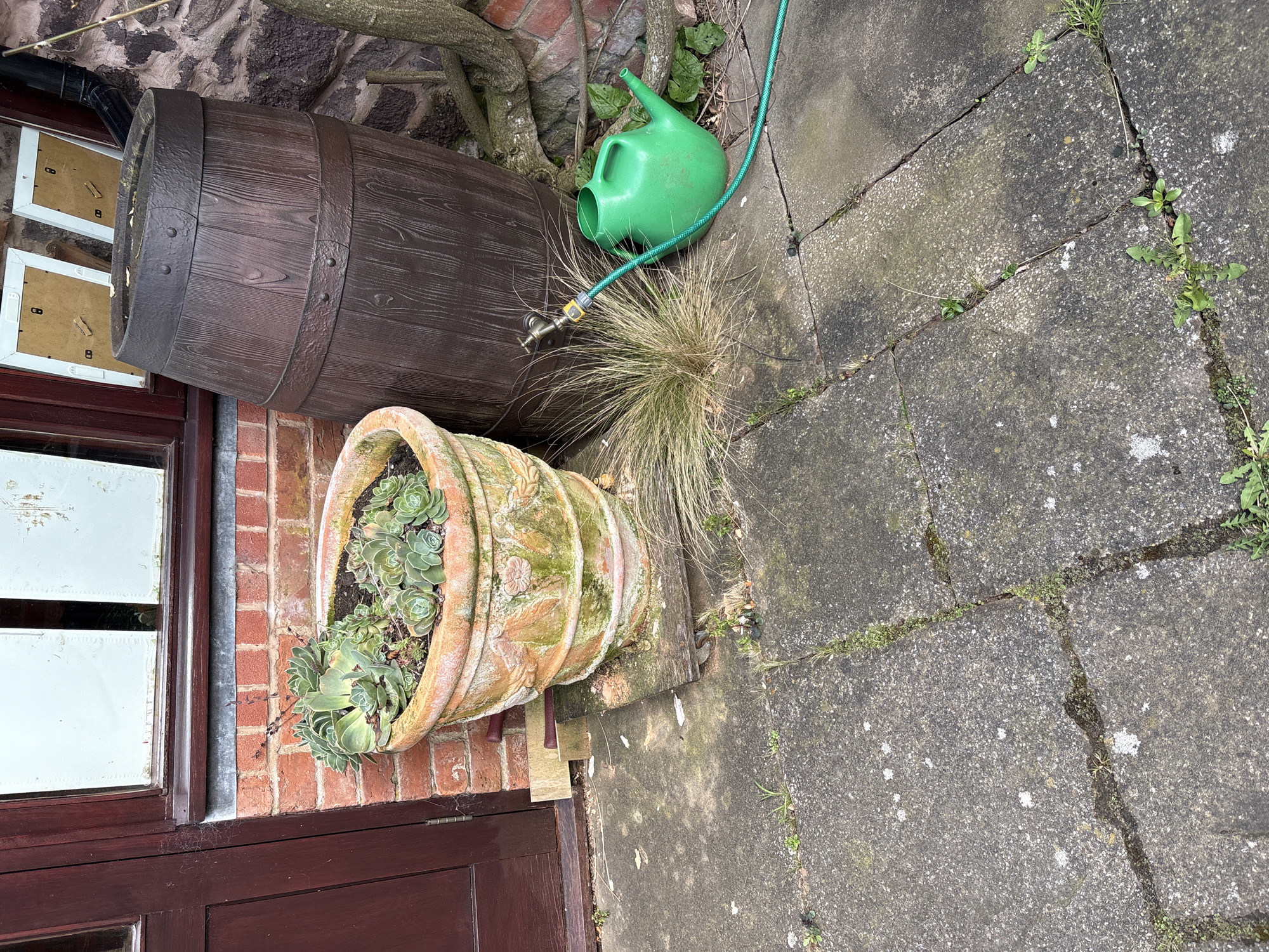 The image captures a section of an outdoor space, possibly a garden or patio. A brown wooden barrel stands next to a large terracotta pot filled with succulents. A green watering can and a coiled green hose rest on a stone-paved area. Weeds grow between the paving stones. The terracotta pot is partially supported by bricks and wood, adjacent to a red brick wall and a dark-colored door or window frame. The location is likely in the vicinity of Pulverbatch, United Kingdom, based on the provided information.