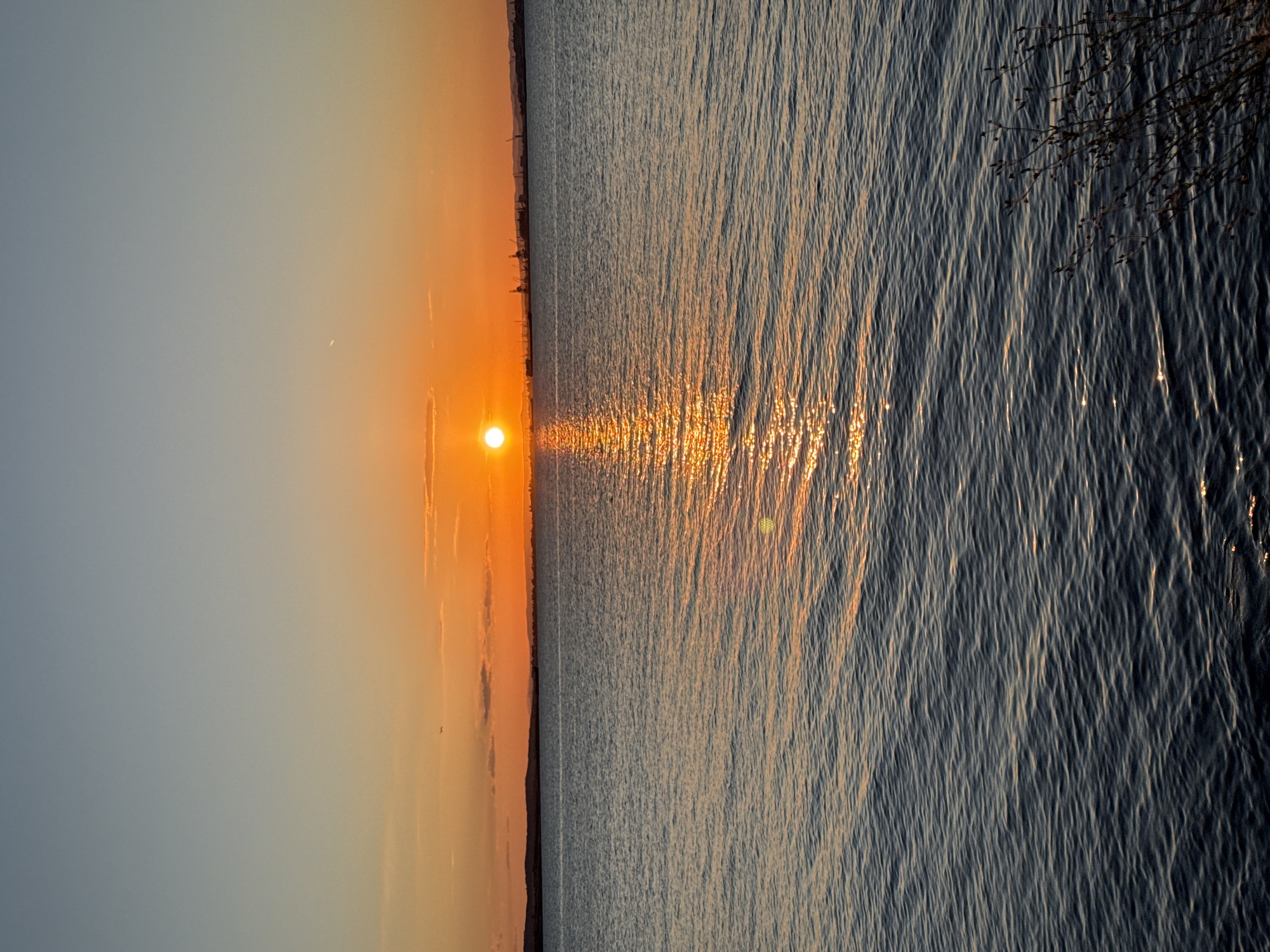 The image captures a sunset over the sea, likely in Burgas, Bulgaria. The sun, a bright orange orb, is low on the horizon, casting a shimmering reflection across the dark blue water. The sky transitions from a pale blue at the top to a warm orange and yellow near the horizon, with a few wispy clouds. In the distance, a silhouetted industrial landscape with cranes and structures is visible along the coastline. The foreground shows ripples on the water's surface and a few sparse, dry branches in the bottom right corner. There are no people or animals clearly visible in the scene.
