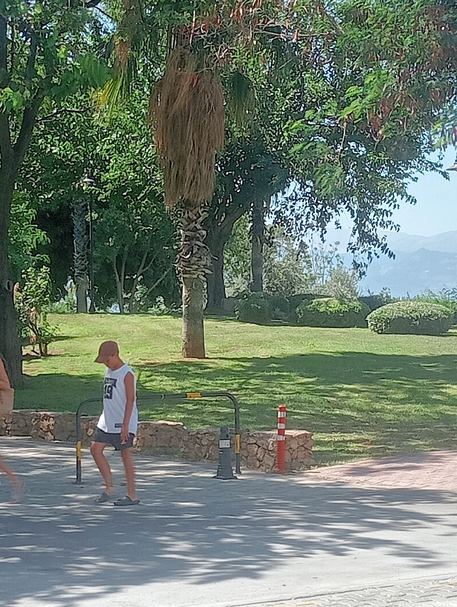 The image depicts a park or garden area in Antalya, Turkey, with lush green grass and mature trees, including a prominent palm tree with shaggy bark. In the foreground, a young boy wearing a white sleeveless shirt with the number "19" and dark shorts walks on a paved path. He is also wearing a brown baseball cap and dark sandals. Behind him, a metal barrier with yellow accents separates the path from the grassy area. In the background, meticulously shaped bushes and distant hills under a hazy sky suggest a scenic overlook. The scene is bathed in bright sunlight, casting distinct shadows from the trees on the path.