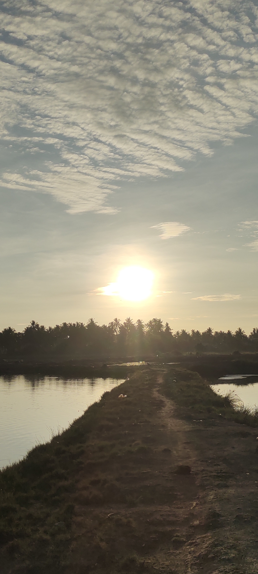 A vertical, low-angle shot captures a serene sunrise over a rural landscape in Lhokseumawe, Indonesia. The sun, a brilliant white orb, shines brightly in the upper center of the frame, casting a warm, golden glow across the scene. Wispy clouds streak across the sky, their undersides catching the light.
In the middle ground, a dense line of palm trees forms a dark silhouette against the illuminated sky, suggesting a tropical setting. The trees are reflected in the calm waters of a canal or river that runs horizontally across the image. A narrow, dirt path, covered in sparse vegetation, cuts through the scene diagonally from the lower left foreground to the upper right, creating a sense of depth and leading the viewer's eye towards the horizon. The path is flanked on either side by the dark, wet earth and patches of grass. A few pieces of litter are visible along the path. The overall atmosphere is peaceful and tranquil, evoking a sense of early morning calm in a rural Indonesian environment.