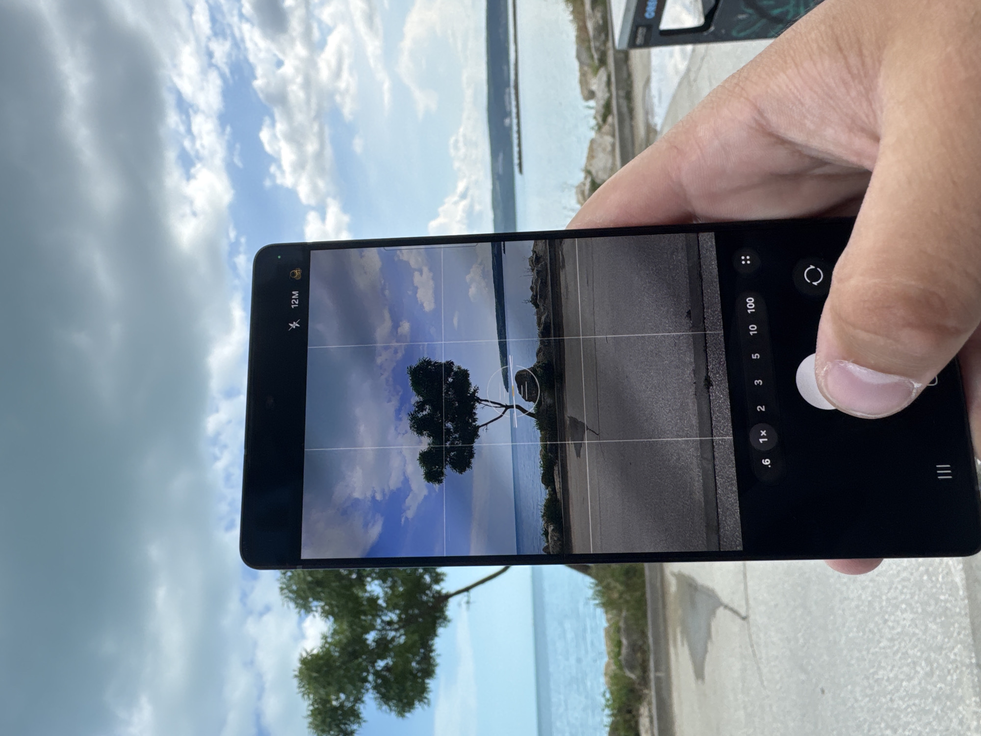 A hand holds a black smartphone in portrait orientation, displaying a camera view of a tree along the coastline. The phone's screen shows a grid overlay, suggesting it is in camera mode. The background behind the phone shows the same scene: a blue sky with clouds, a body of water (likely the Black Sea), a coastline with vegetation and an island on the horizon.
The location is likely near the coastline in Varna, Bulgaria, given the appearance of the Black Sea and common coastal vegetation. The image appears to be an attempt to photograph the scene with the tree as the central subject. The phone's camera settings are visible on the screen. The right hand is on the right side of the device ready to capture the image, with the index finger posed on the camera shutter button.