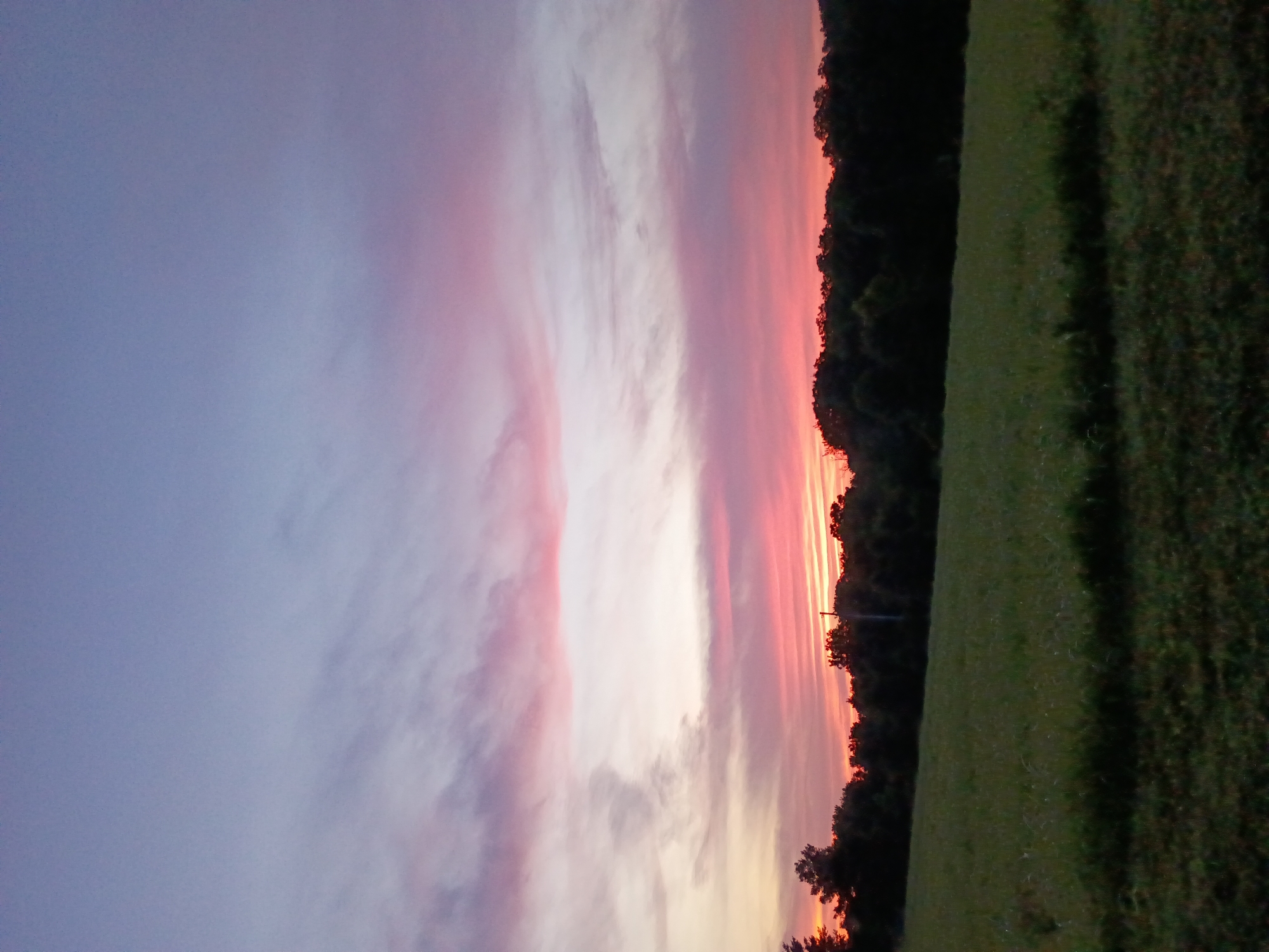 The image depicts a serene rural landscape at dusk, likely in or near Versailles, United States. A vast expanse of a green field occupies the foreground, transitioning into a dark band of trees that forms the middle ground. Above the treeline, the sky is a canvas of vibrant colors, with hues of soft purple and pink swirling together, indicative of a sunset. Wispy clouds are scattered across the sky, catching the fading sunlight and creating a dramatic effect. The overall atmosphere is tranquil and natural, with no visible signs of human activity or urban development.