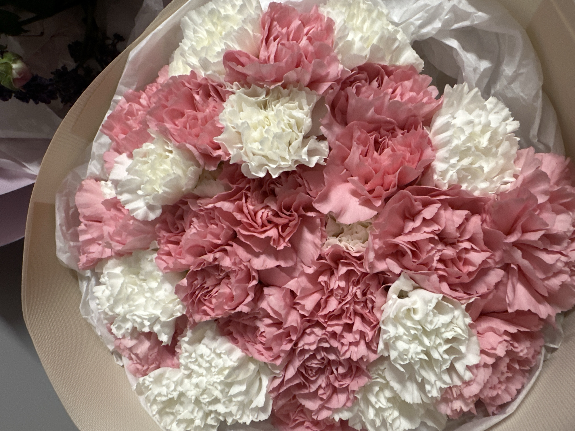 A bouquet of pink and white carnations is presented in a beige paper wrapper with a white tissue paper lining. The flowers are densely packed together, with the pink and white blossoms arranged in an alternating pattern. The image is a close-up shot, focusing on the floral arrangement. There is no evidence to suggest the bouquet's specific location in Ternopil, Ukraine.