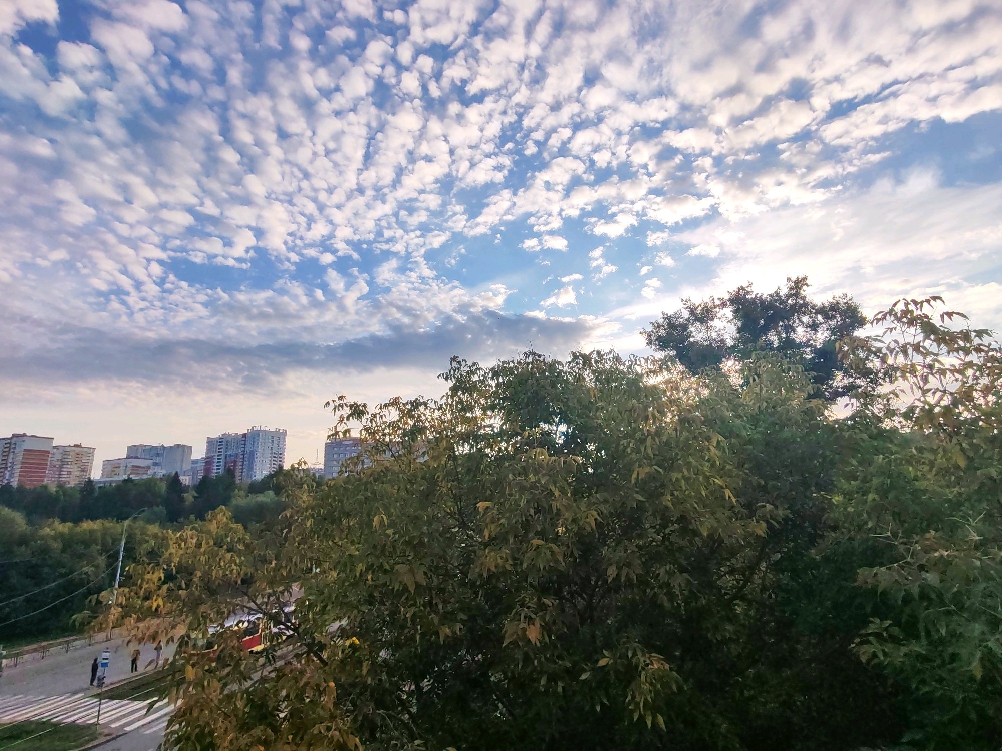 The image depicts a street scene in Izhevsk, Russia, with a focus on a cloudy sky and trees in the foreground. In the background, several multi-story apartment buildings are visible, indicative of an urban environment. A street with a pedestrian crossing is present in the mid-ground, with a few individuals walking on the sidewalk. A red and white vehicle, possibly a bus or tram, is also partially visible on the street. The sky is filled with scattered white clouds against a blue background. Dense green trees with some autumnal yellowing leaves dominate the foreground and mid-ground, partially obscuring the view of the buildings and street. The lighting suggests it might be late afternoon or early morning, with the sun potentially behind the clouds and trees.