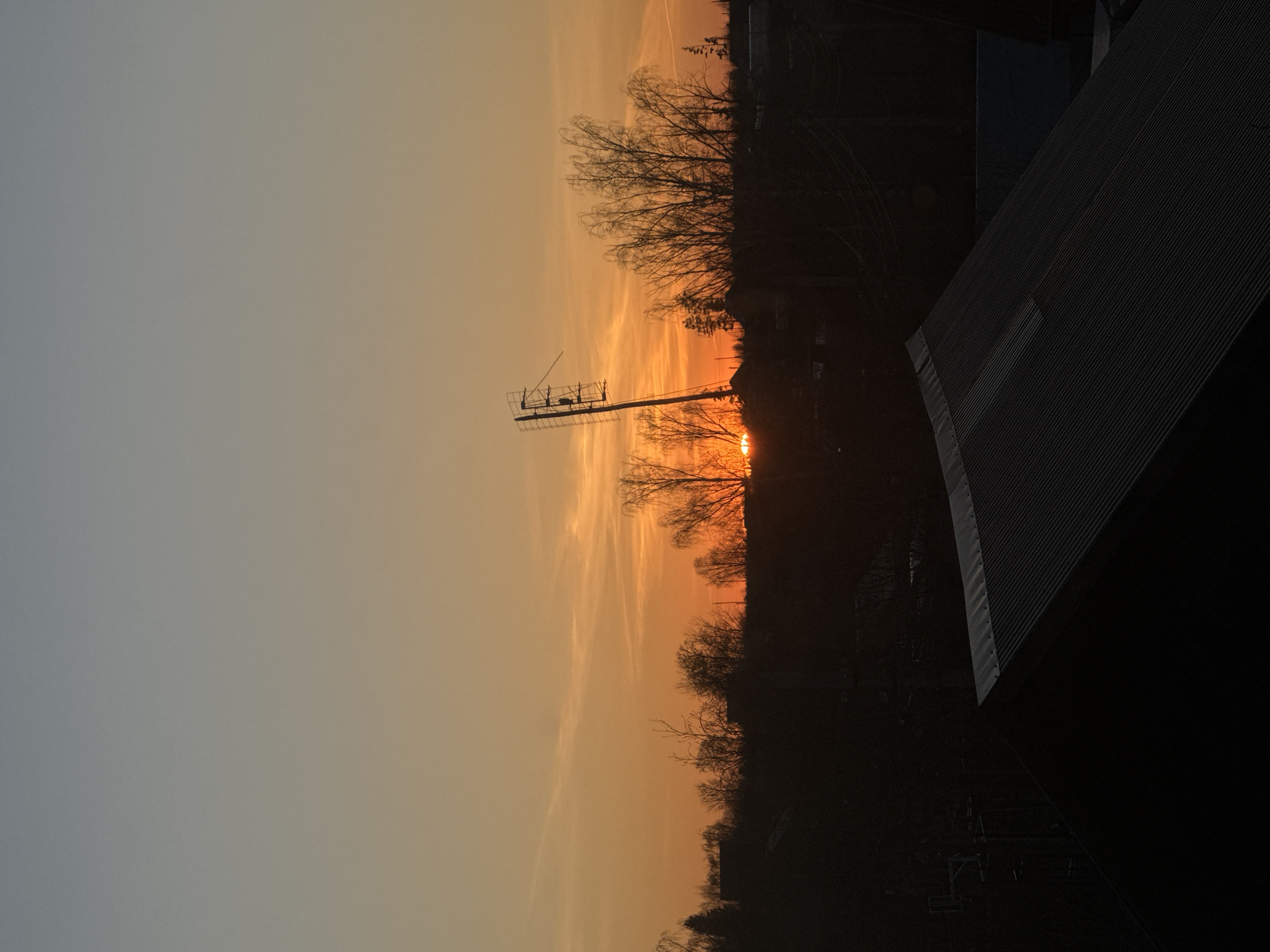 The image shows a sunset in Фоки, Russia. The sky is colored with hues of orange and gray. Silhouetted trees and a television antenna stand against the setting sun. Part of a dark building occupies the right side of the frame.