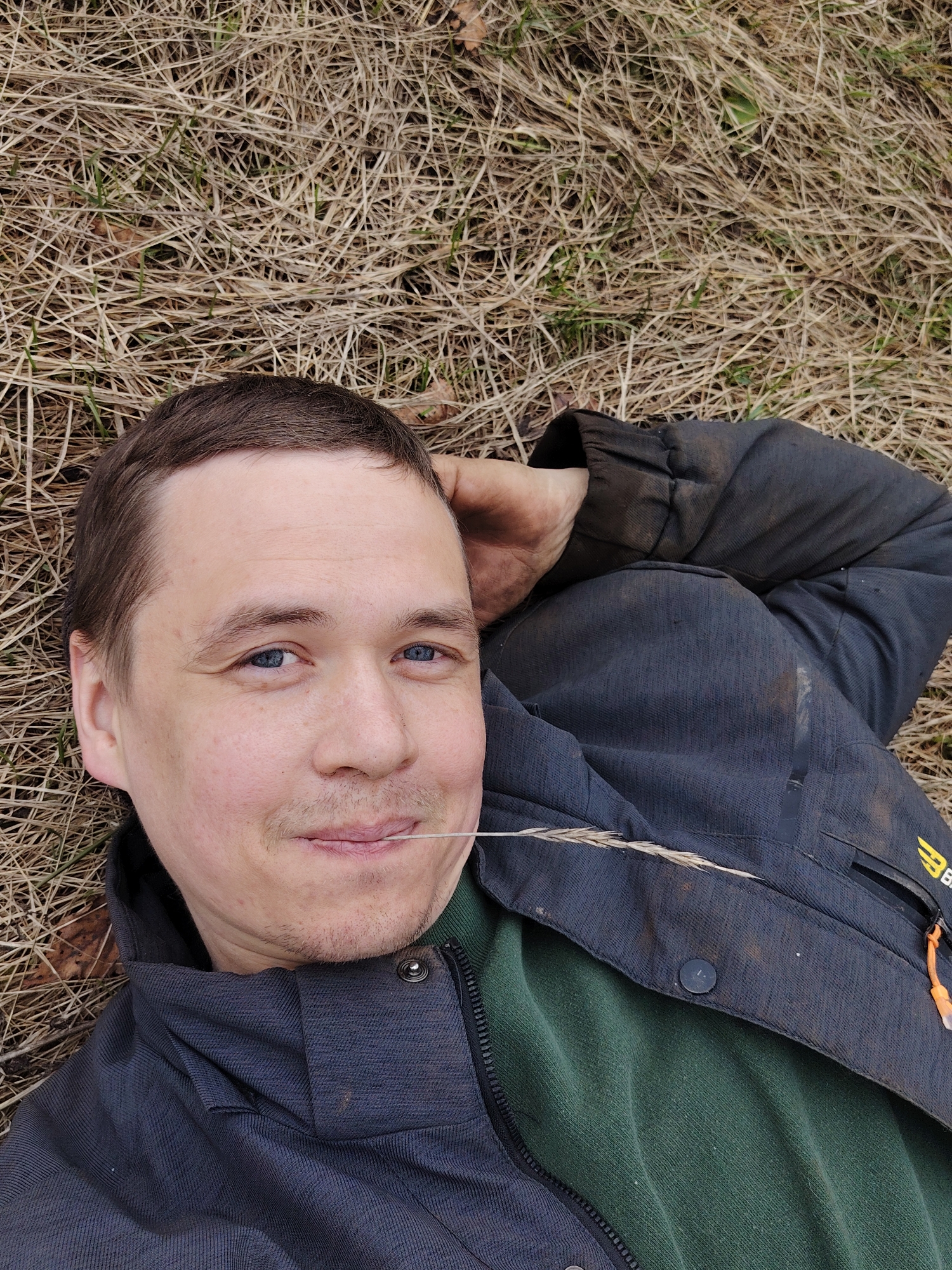 A man is depicted lying on his back on a bed of dry, matted grass, interspersed with sparse green shoots and dried leaves. He occupies the foreground and midground of the image, looking directly at the viewer with a slight, relaxed smile. The man appears to be in his late 20s or 30s, with short brown hair, light stubble on his chin, and bright blue eyes. He holds a slender piece of dried straw or grass between his teeth, adding to a casual demeanor.
He is dressed in a dark grey or black jacket, which appears to be a softshell or similar material, layered over a dark green long-sleeved shirt. His right arm is bent, with his hand seemingly resting behind his head, and some dirt or mud is visible on his arm and jacket sleeve, indicating he has been active outdoors. A yellow logo, partially visible as "BR", is present on the upper right sleeve of his jacket.
The scene is set outdoors in what appears to be a field or open grassy area, typical of a natural or rural environment. The dry grass and emerging green growth suggest the season is either early spring or late autumn. The lighting is soft and even, characteristic of an overcast day or late afternoon. The man's expression conveys a sense of peace and relaxation. The image provides no specific time of day beyond being daylight. The location context is Markovskii, Russia.