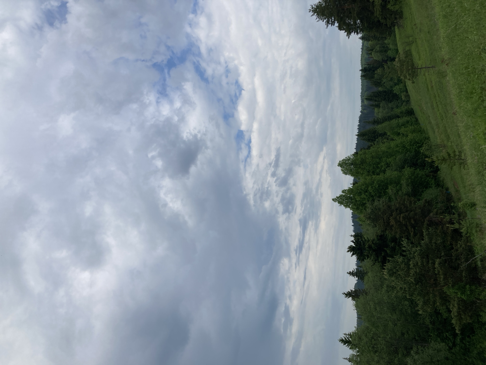 The image shows a landscape with a cloudy sky and a forest edge. The sky is predominantly filled with grey and white clouds, with some patches of blue visible. The ground consists of a forested area and a grassy slope. The trees are various shades of green, suggesting different types or ages. The location is likely near Krasnokamsk, Russia, based on the user's prompt, although there are no immediately distinctive features in the image to confirm this. No people or explicit actions are visible. The environment appears to be rural or suburban.