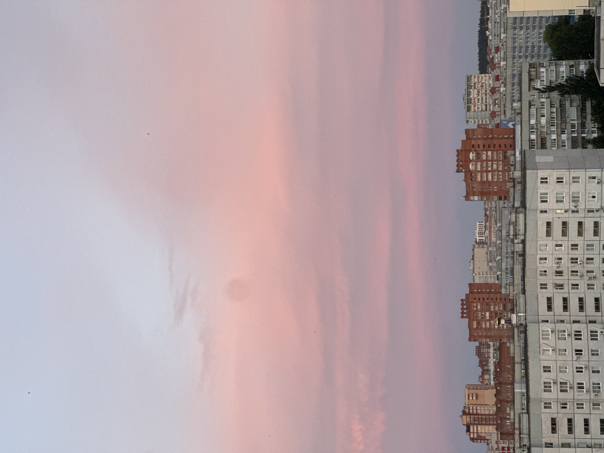 This image captures an urban skyline at dusk. The sky is painted with soft hues of pink and pale blue, indicative of sunset. Below the sky, a dense collection of apartment buildings stretches across the frame. These buildings vary in height and architectural style, with many exhibiting a grid-like pattern of windows. Some buildings are clad in brick, while others are rendered in lighter colors. In the foreground, a large, multi-story apartment building with a symmetrical facade dominates the view. The scene appears to be a residential area within a city, characterized by its uniform, modern architecture and the fading light of day. There are no people or specific actions depicted, suggesting a static view of the city. The environment is urban, with buildings and a hint of trees in the distance.