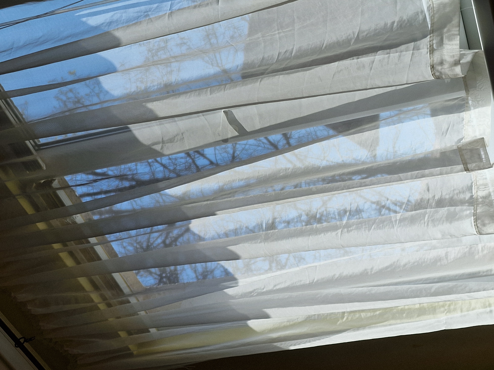 The image displays a close-up view of white, translucent window blinds or shades, likely Roman blinds, drawn across a window. Bright sunlight filters through the sheer fabric and illuminates the scene. The blinds are arranged in horizontal folds, creating bands of fabric that alternate with narrower gaps, offering glimpses of the outside.
Beyond the blinds, a clear, bright blue sky is visible. Silhouetted against the sky are numerous bare tree branches, suggesting either winter or early spring. The sunlight creates distinct shadows and highlights on the textured fabric of the blinds; some sections appear bright white where the light hits directly, while others are in shadow, appearing as darker grey bands. The fabric itself shows subtle creases and folds, adding to its texture.
The scene depicts a calm daytime moment, likely in the morning or afternoon, with natural light entering an interior space. There is no discernible activity taking place, nor any people or visible text in the frame. The focus is entirely on the interplay of light, shadow, and the view through the window covering.