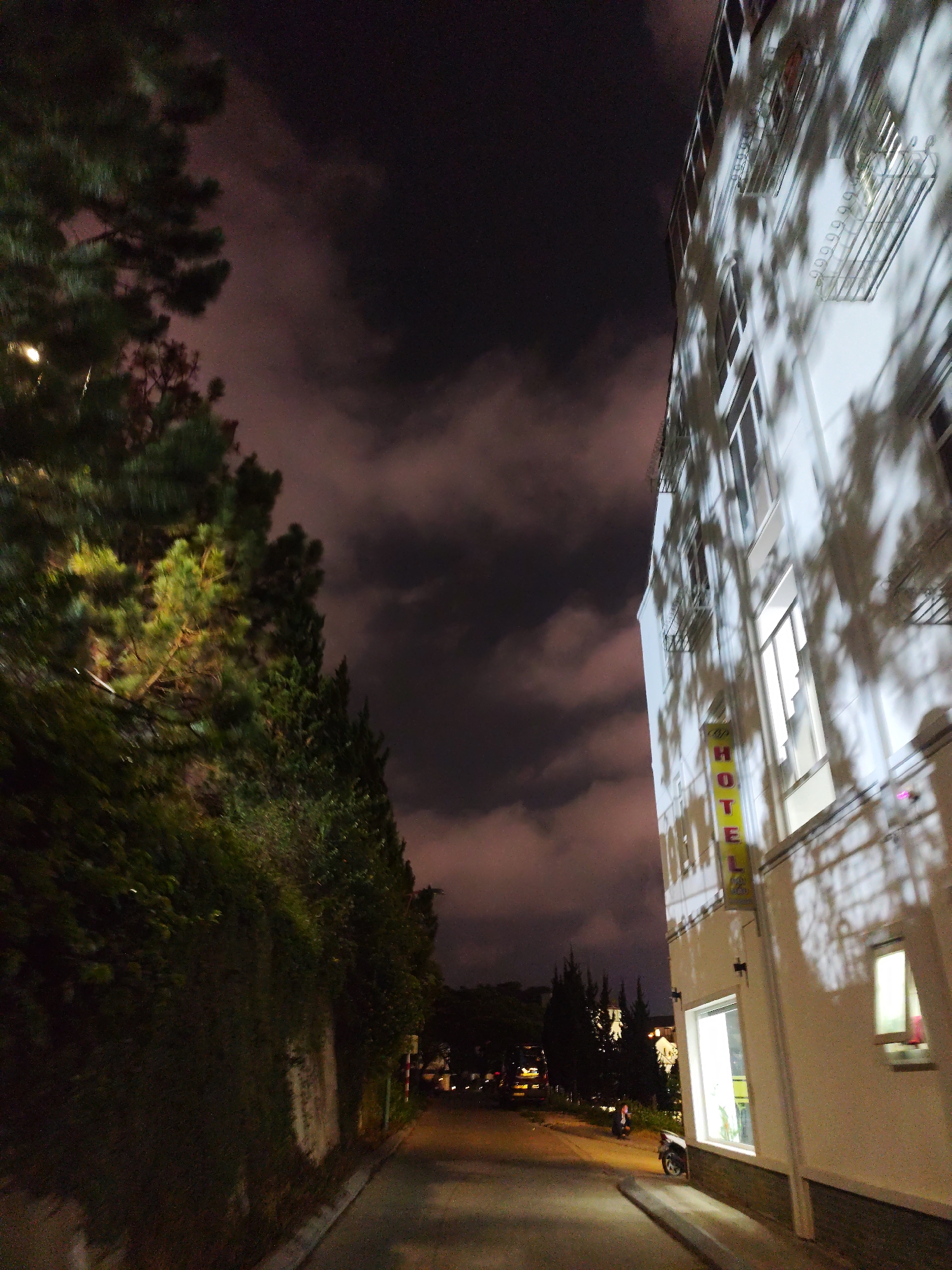 The image is a night shot of a street in Da Lat, Vietnam. The street is lined on one side by a building, marked with a vertical "HOTEL" sign. The other side features a wall covered in greenery. The sky is dark with pinkish-grey clouds. In the distance, the street appears to curve, with some lights and a vehicle visible. A parked motorbike sits near the base of the hotel.