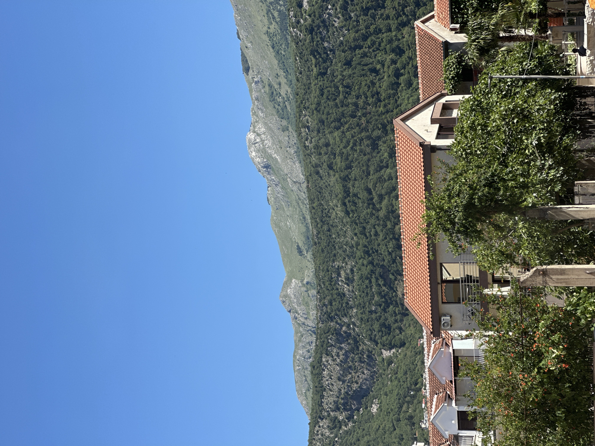 The image shows a mountain range next to buildings. The buildings have red-tiled roofs. In front of the buildings are trees and other vegetation. The sky is clear and blue. It is the city of Budva, Montenegro.