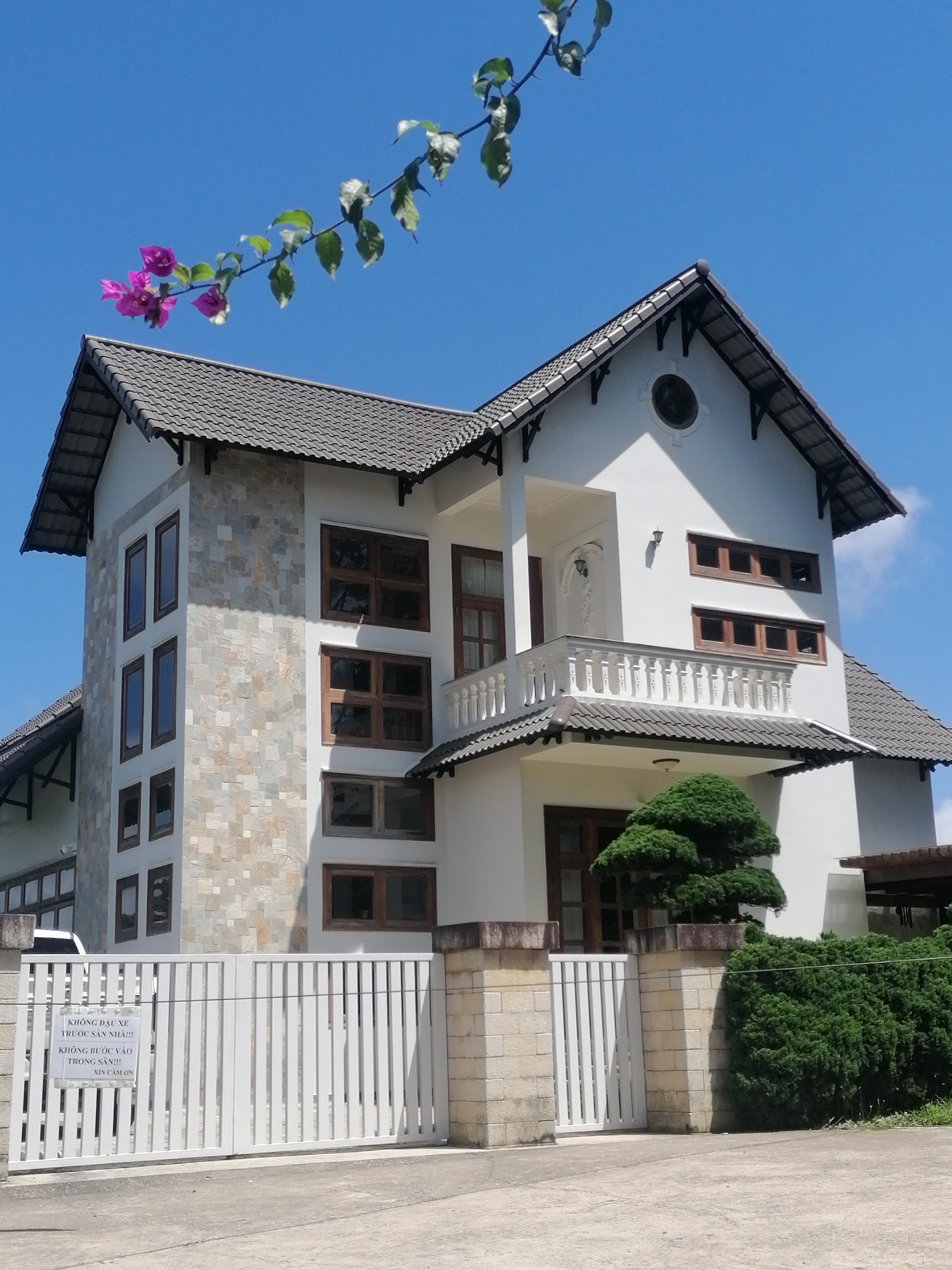 The image shows a two-story modern house with a white facade and a grey tiled roof in Da Lat, Vietnam. The house has multiple windows with wooden frames and a balcony on the second floor. A white metal gate with a sign in Vietnamese is visible in the foreground. The gate is flanked by stone pillars and a dense green hedge. A bonsai tree stands near the entrance. The sky is clear blue with a few clouds, and a branch with pink flowers hangs in the upper left corner of the frame.