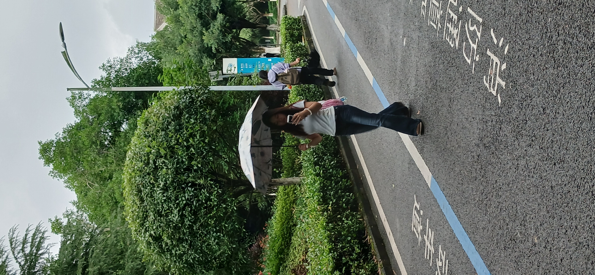 In Chongqing High-tech Zone, China, on a cloudy day, a young woman walks on a paved road holding an umbrella and looking at her phone. She is wearing a light-colored t-shirt, blue flared jeans, and brown sandals. She has a pink backpack on her right shoulder. Behind her, another person walks away from the camera, wearing a purple hoodie, dark pants, and a brown backpack. The road has white and blue markings. Lush green trees and manicured bushes line the road. In the background, a street light and a building are visible.