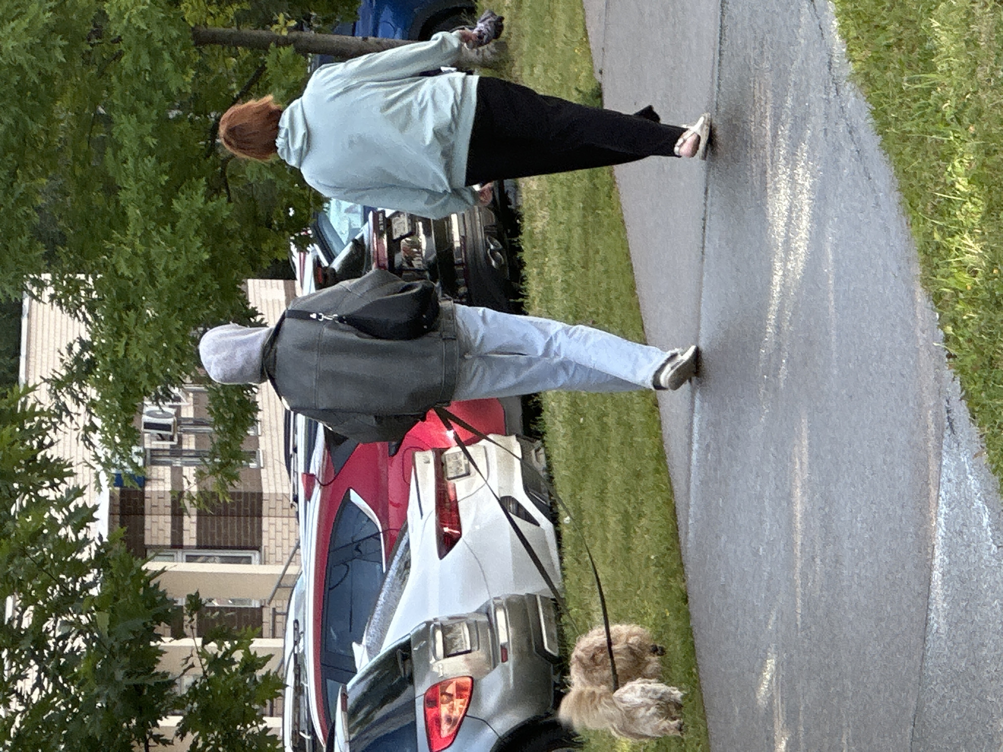 Two individuals and two dogs are captured from behind in an outdoor scene, possibly in Podolsk, Russia. The person on the left is wearing a grey hooded jacket over a grey hooded sweatshirt, light blue jeans, and white sneakers. This individual is holding a black leash attached to two fluffy, light brown dogs, which are walking on the grass to the left of the paved path. The person on the right is wearing a light blue hooded sweatshirt, black pants, and white slip-on shoes, and is carrying a folded item in their right hand. They are walking on the paved path. In the background, a row of parked cars, including a red SUV, a white sedan, and a dark-colored SUV, are visible. Trees with green foliage and a brick building with white trim and windows are also present in the environment. The ground is a mix of grass and a wet-looking paved surface.