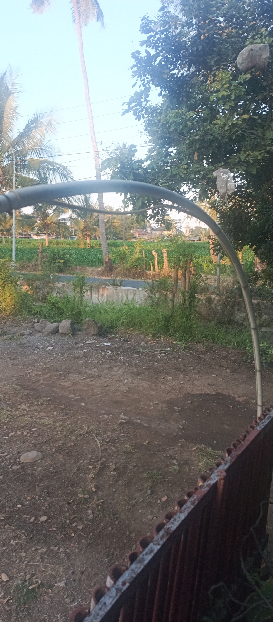The image depicts an outdoor scene with a prominent curved metal pipe in the foreground, arching from left to right. Beyond the pipe, there is a cultivated field with rows of green crops. Several palm trees are visible, suggesting a tropical or subtropical environment. In the distance, a building with multiple domes and spires, possibly a mosque or temple, can be seen. The ground in the foreground is unpaved, with dirt and scattered stones. A rusty metal fence runs along the bottom right edge of the frame. The sky is clear and bright, indicating daylight. The scene appears to be located in a rural or semi-rural area, possibly within or near Jatisari, Indonesia, given the architectural style of the distant building and the presence of palm trees. There are no people or animals visible in the image.