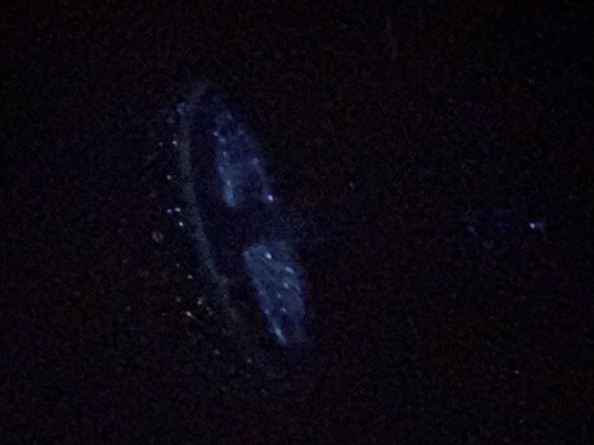 The image is a dark, low-light photograph of a celestial object, possibly a nebula or a galaxy, in the night sky. The object appears as a fuzzy, bluish-white cloud with scattered points of light within it, resembling stars. The background is predominantly black, suggesting a clear night sky with minimal light pollution. The overall impression is one of looking at a distant astronomical phenomenon. The context of Tbilisi, Georgia, is not discernible from the visual information provided in the image.