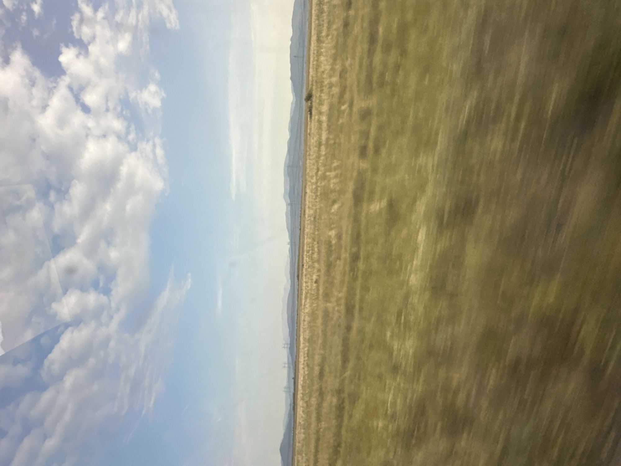 The image depicts a vast, open landscape divided into two distinct halves. On the left, a bright blue sky is filled with fluffy, white cumulus clouds. The sky transitions to a lighter shade of blue towards the horizon. On the right, a field of dry, golden-brown grass stretches out, appearing somewhat blurred due to motion, suggesting movement through the scene. The grass is textured with horizontal lines, indicating the direction of travel or wind. In the distance, a range of hazy, muted blue mountains forms the horizon line, creating a sense of depth. Several thin, vertical structures that resemble power pylons are visible in the far distance against the mountains. A lone, small tree is sparsely dotted on the landscape just before the mountain range. The overall impression is of a clear, possibly sunny day, with a feeling of wide-open spaces and perhaps travel. The light suggests it could be daytime, likely mid-morning or afternoon, given the brightness of the sky. No people, text, or specific objects are clearly identifiable, beyond the natural elements and the distant pylons.