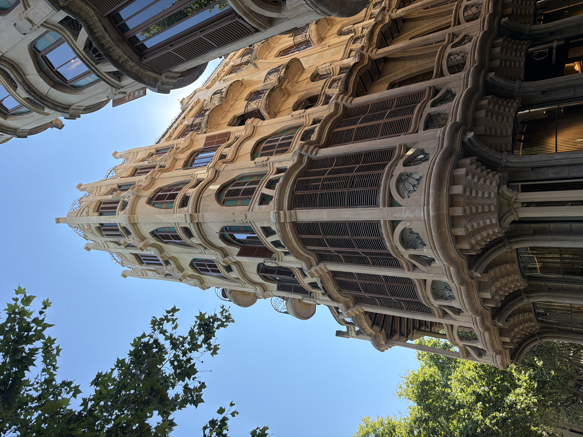 The image captures a low-angle view of the Casa Sayrach, a historic modernist building located on Rambla de Catalunya in Palma, Spain. The architecture is characterized by its unique curved lines and decorative elements, with a prominent tower-like structure on the right. The facade features a series of arched windows with wooden shutters and balconies with ornate iron railings. The building is made of light-colored stone, and the warm sunlight casts shadows that highlight the intricate details of its design. In the foreground, lush green trees with large leaves partially frame the building, adding a natural contrast to the urban architecture. The sky is a clear, vibrant blue. The building on the far right appears to be part of the same architectural style, with a curved facade and similar window designs. The lower part of the main building shows large glass windows, possibly storefronts, with reflections of the surrounding environment. A glimpse of a dark sign with the initials "CH" and the words "CAROLINA HERRERA" is visible on one of the storefronts. There are no people visible in the image.