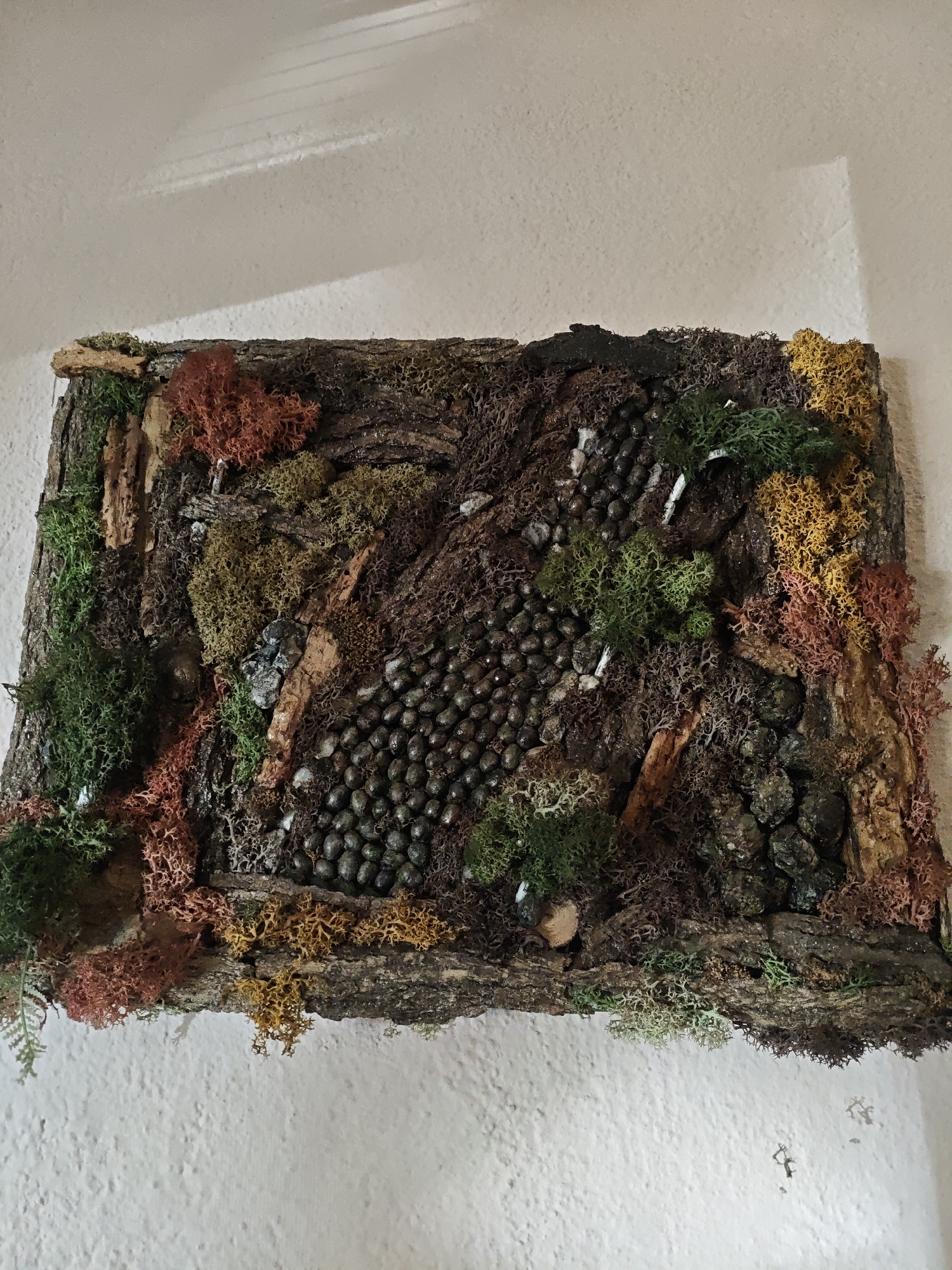 A rectangular wall-mounted display piece is affixed to a textured, off-white wall. The display is composed of bark and other natural elements, arranged to create a textural, possibly topographical, artwork. Elements include various shades of green, brown, and reddish-orange moss, along with pebbles or seeds. The overall impression is of a section of forest floor or a miniature landscape. The location is in a city and place that are unknown.