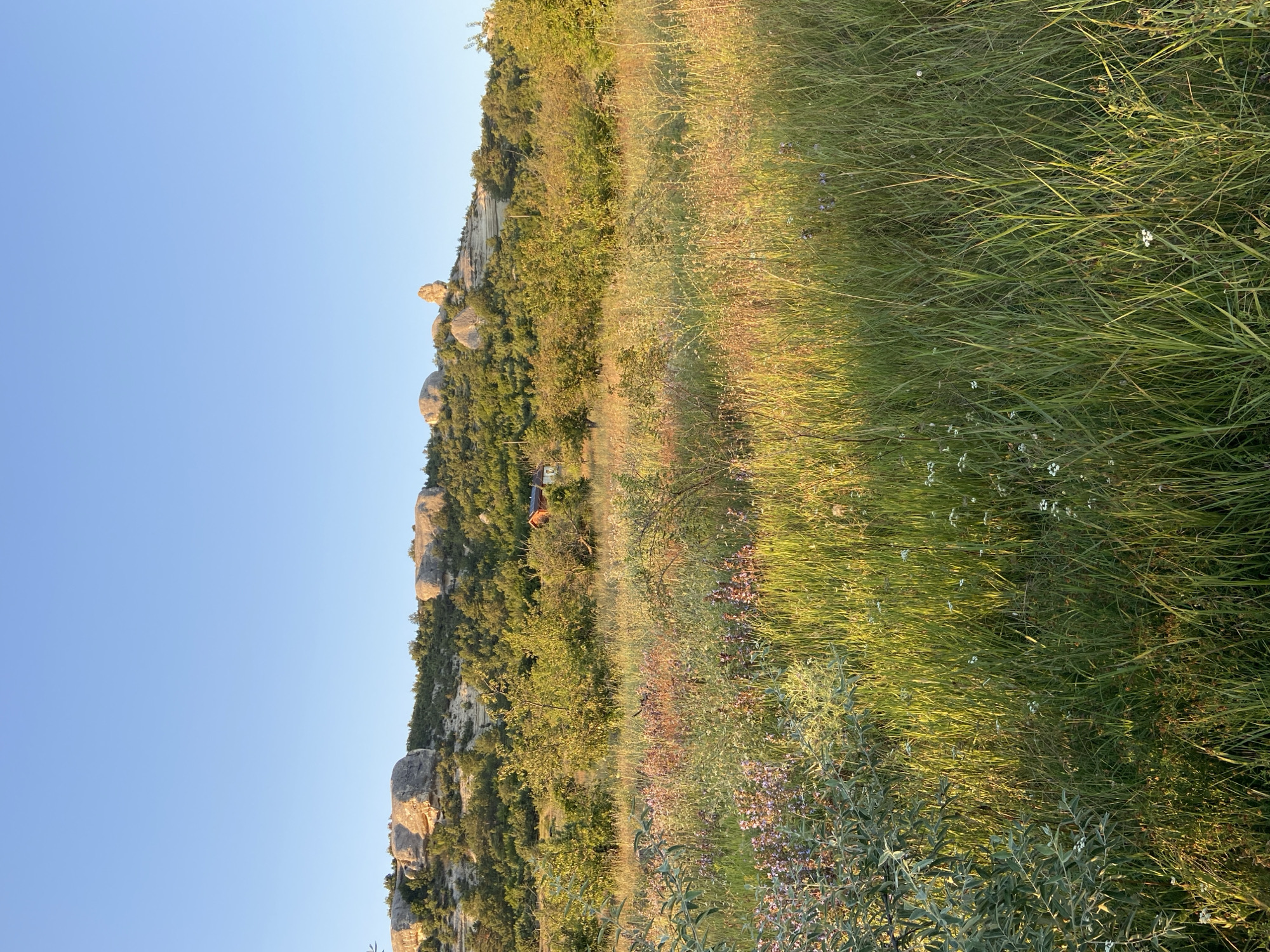 A wide, vertical outdoor shot shows a grassy meadow with wildflowers in the foreground, leading to a wooded hillside with rock formations at the crest. The sky above is clear and blue. In the mid-ground, nestled among the trees, is a small, red-roofed building. The lighting suggests it is either early morning or late afternoon, with the sun casting long shadows and highlighting the tall grass. The environment appears rural and natural, likely in the vicinity of Krasnomakskoye rural settlement, Ukraine.