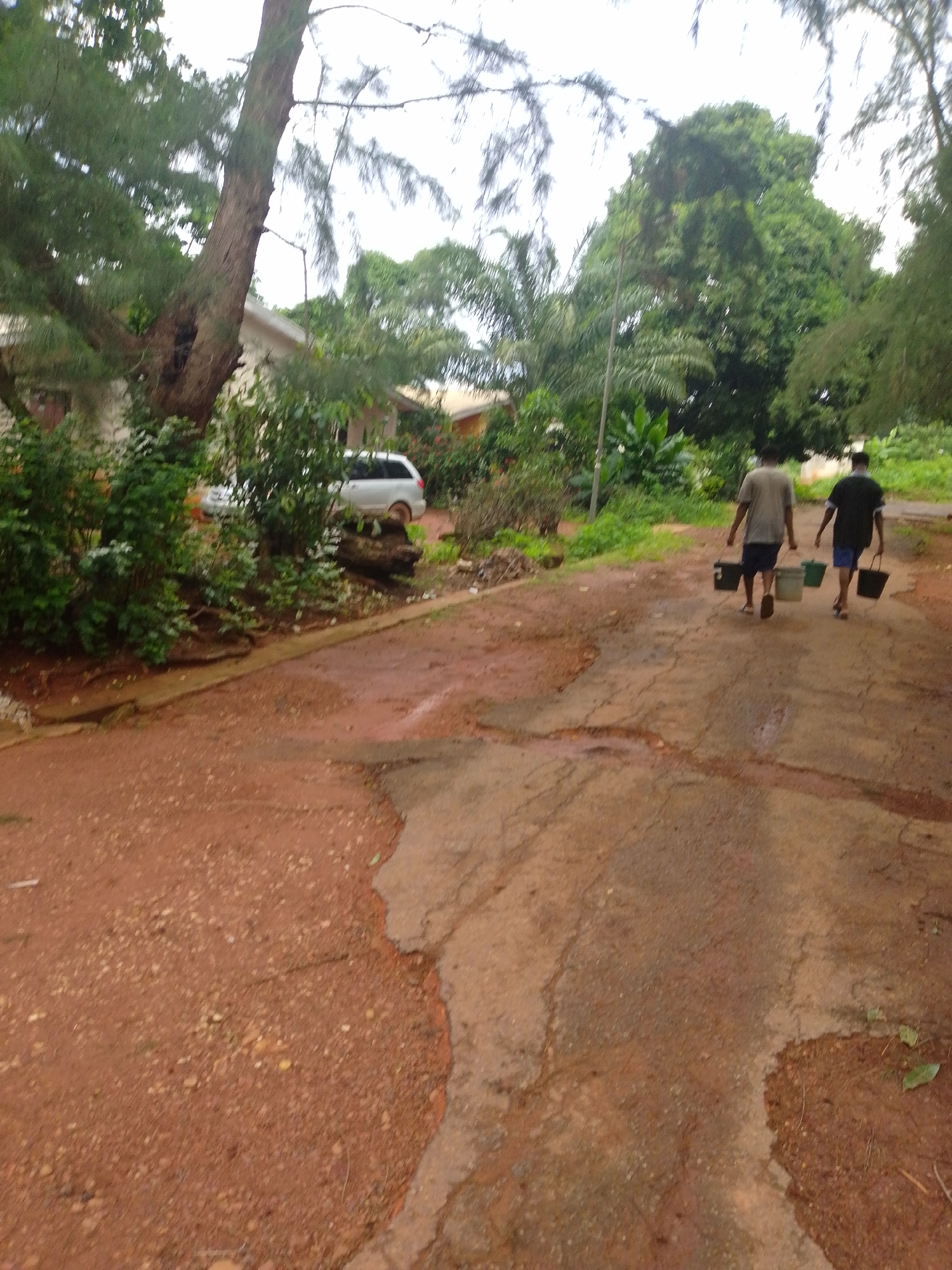 This image captures an outdoor scene in Nsukka, Nigeria, depicting two adult males walking away from the camera on a reddish-brown road. The man on the left wears a light-colored t-shirt and dark shorts, carrying two dark-colored buckets. The man on the right wears a dark-colored t-shirt and dark shorts, carrying one dark and one light green bucket. The road surface is composed of reddish-brown soil mixed with areas of cracked and worn pavement, exhibiting several damp patches. Lush green vegetation, including large trees with visible trunks and smaller bushes, densely borders both sides of the road. In the mid-ground, partially obscured by the foliage, are several low-rise buildings and at least two vehicles: a white SUV and a smaller, lighter-colored car. The sky is overcast, providing diffused natural light to the scene.